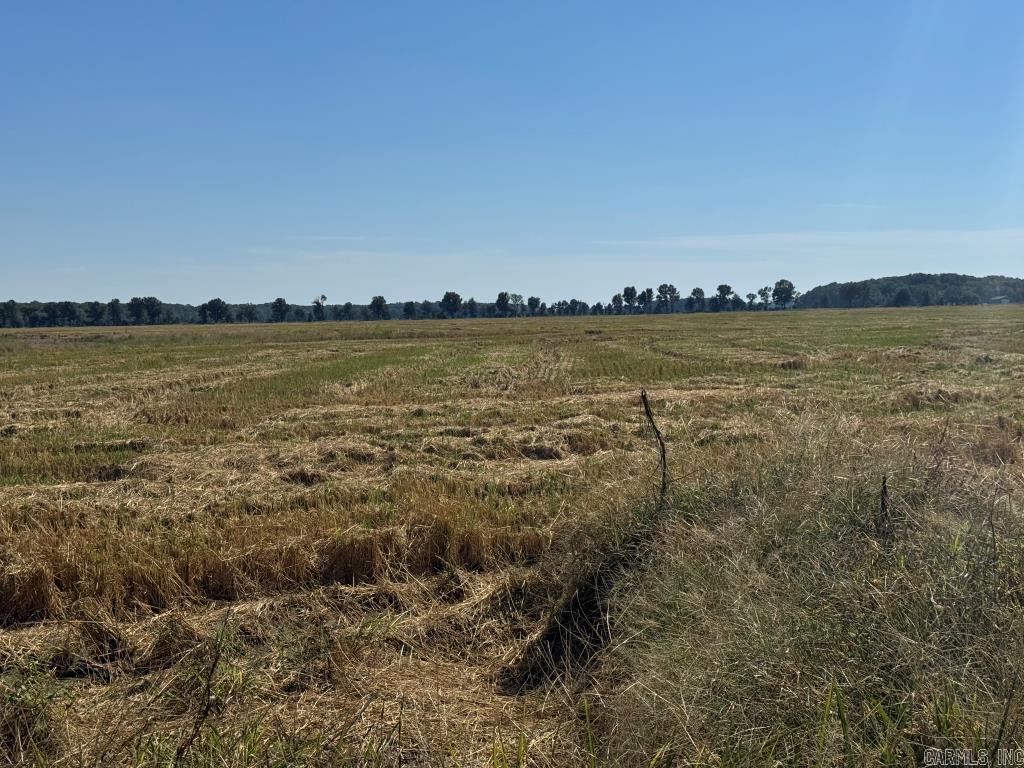 619 acres Flag Slough Lane  Weiner, AR