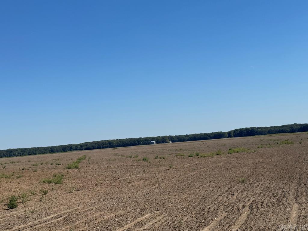 619 acres Flag Slough Lane  Weiner, AR
