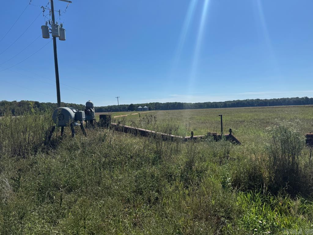 619 acres Flag Slough Lane  Weiner, AR