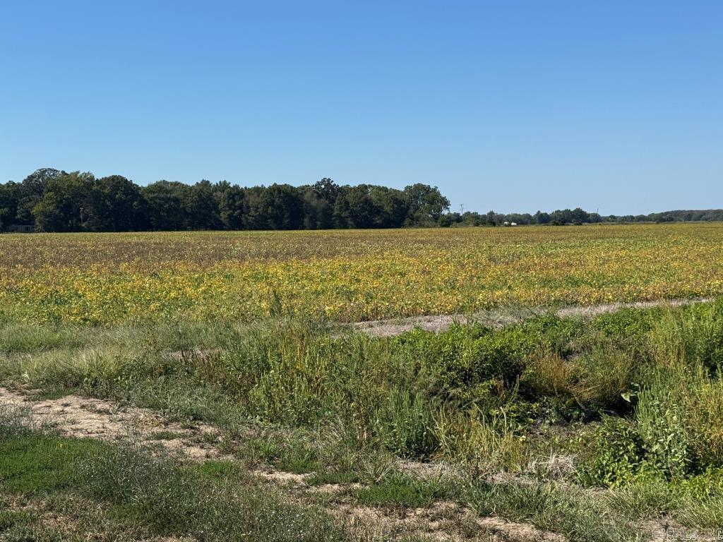 619 acres Flag Slough Lane  Weiner, AR