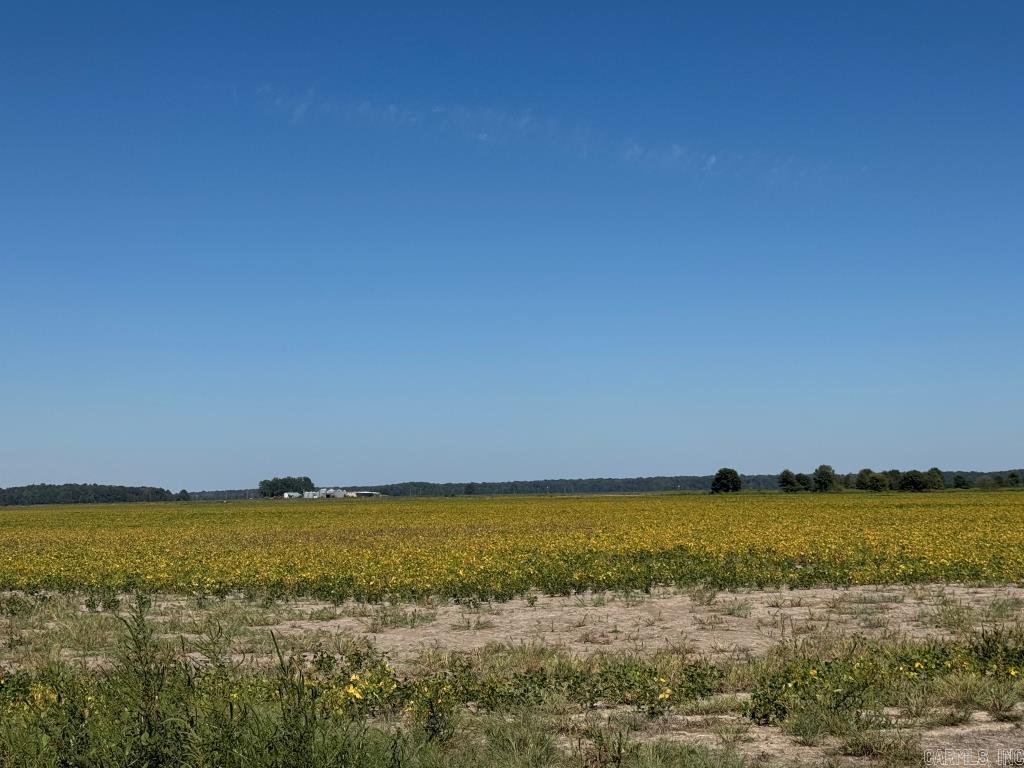 619 acres Flag Slough Lane  Weiner, AR