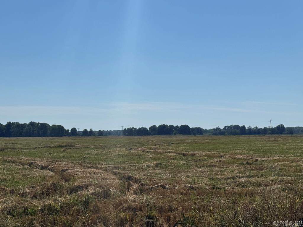 619 acres Flag Slough Lane  Weiner, AR