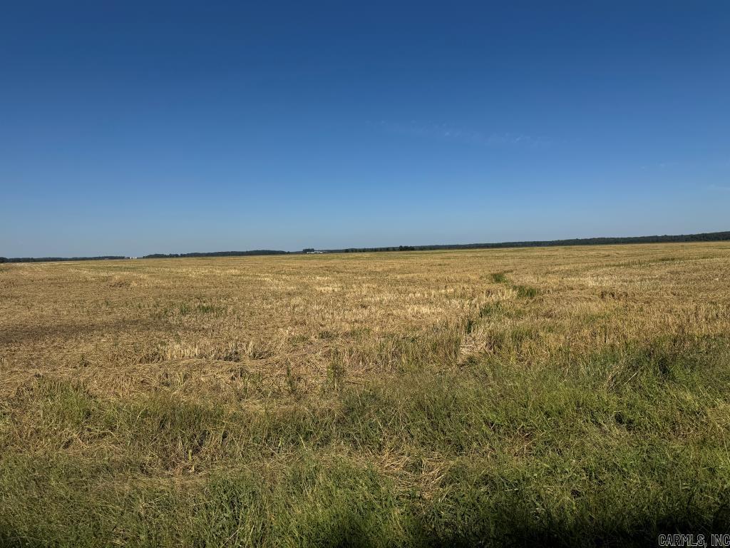 619 acres Flag Slough Lane  Weiner, AR