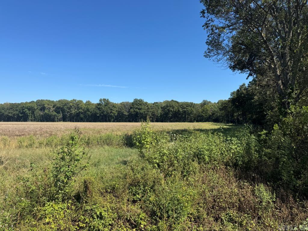 619 acres Flag Slough Lane  Weiner, AR