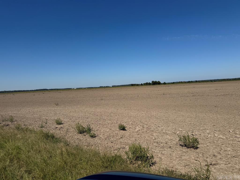 619 acres Flag Slough Lane  Weiner, AR