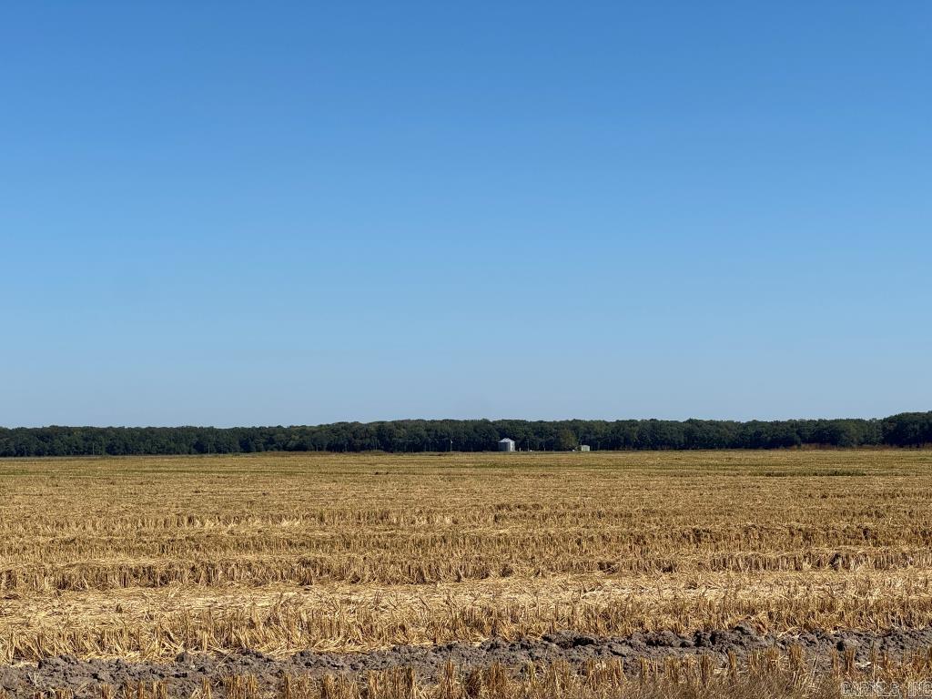 619 acres Flag Slough Lane  Weiner, AR