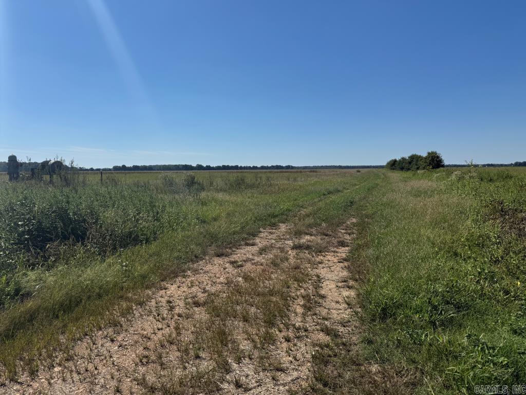 619 acres Flag Slough Lane  Weiner, AR