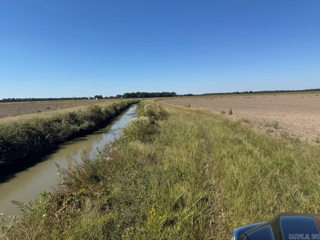 619 acres Flag Slough Lane  Weiner, AR