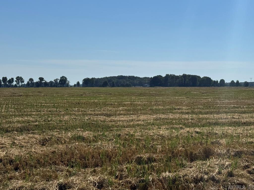 619 acres Flag Slough Lane  Weiner, AR