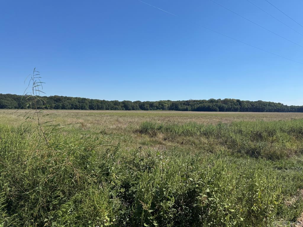 619 acres Flag Slough Lane  Weiner, AR