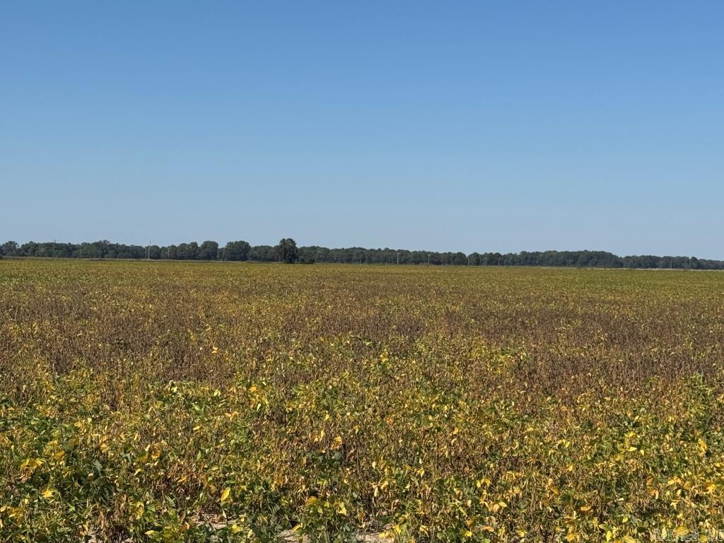 619 acres Flag Slough Lane  Weiner, AR