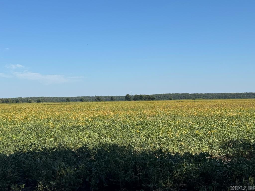 619 acres Flag Slough Lane  Weiner, AR