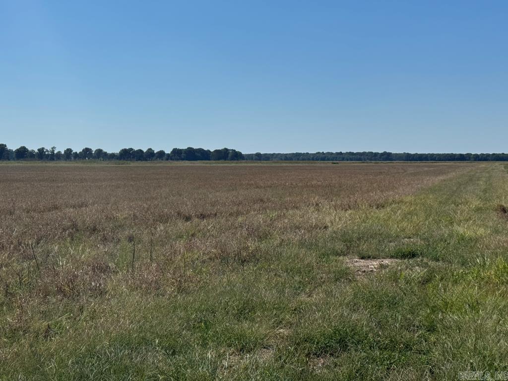 619 acres Flag Slough Lane  Weiner, AR