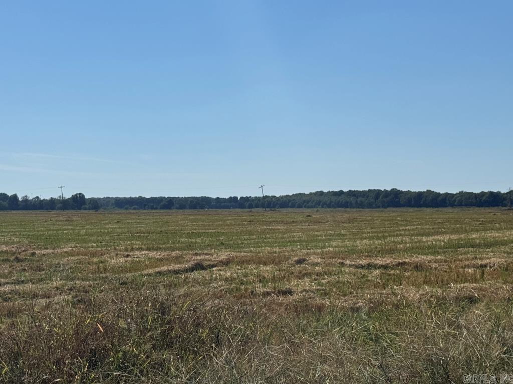 619 acres Flag Slough Lane  Weiner, AR