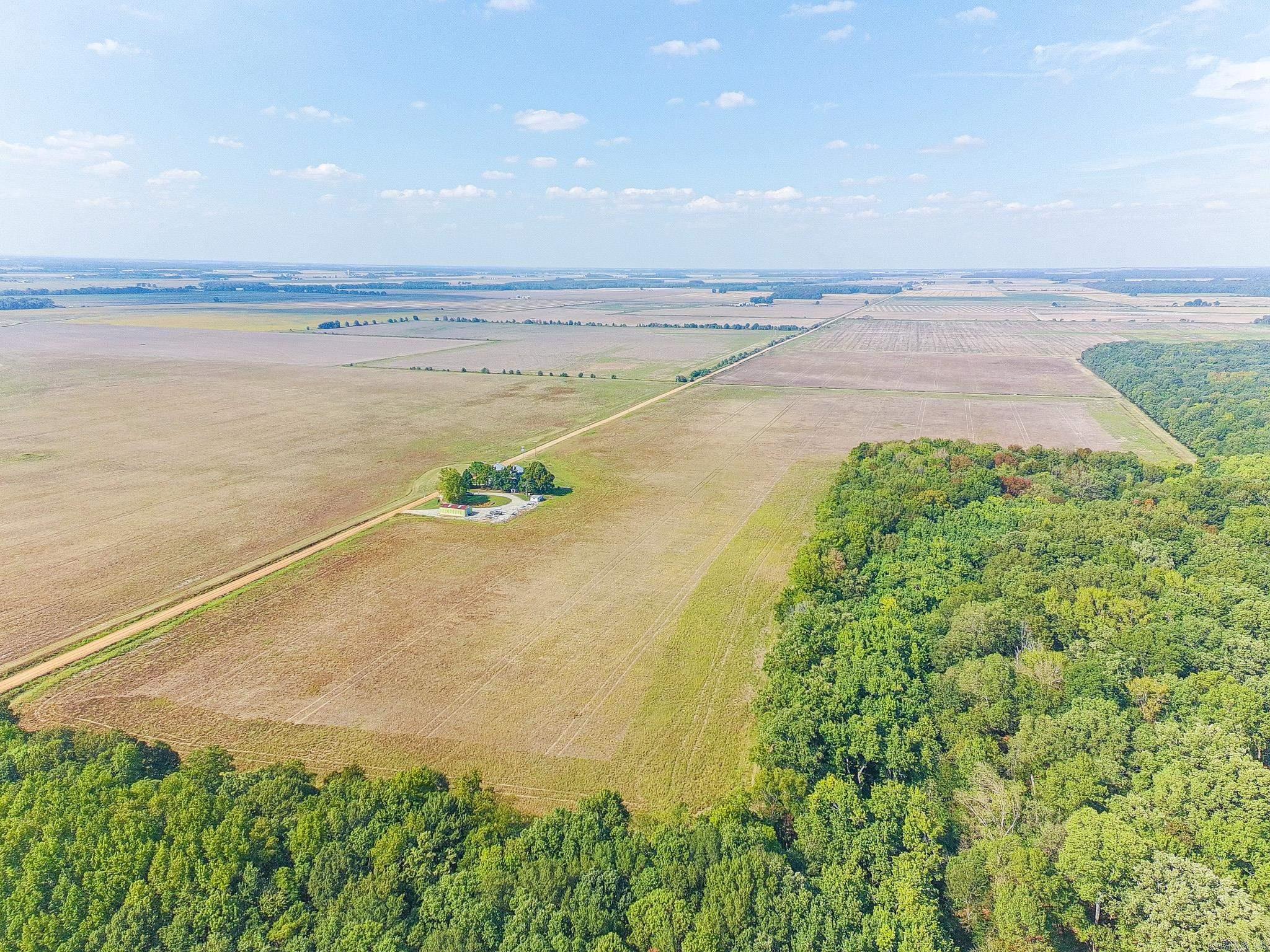 619 acres Flag Slough Lane  Weiner, AR