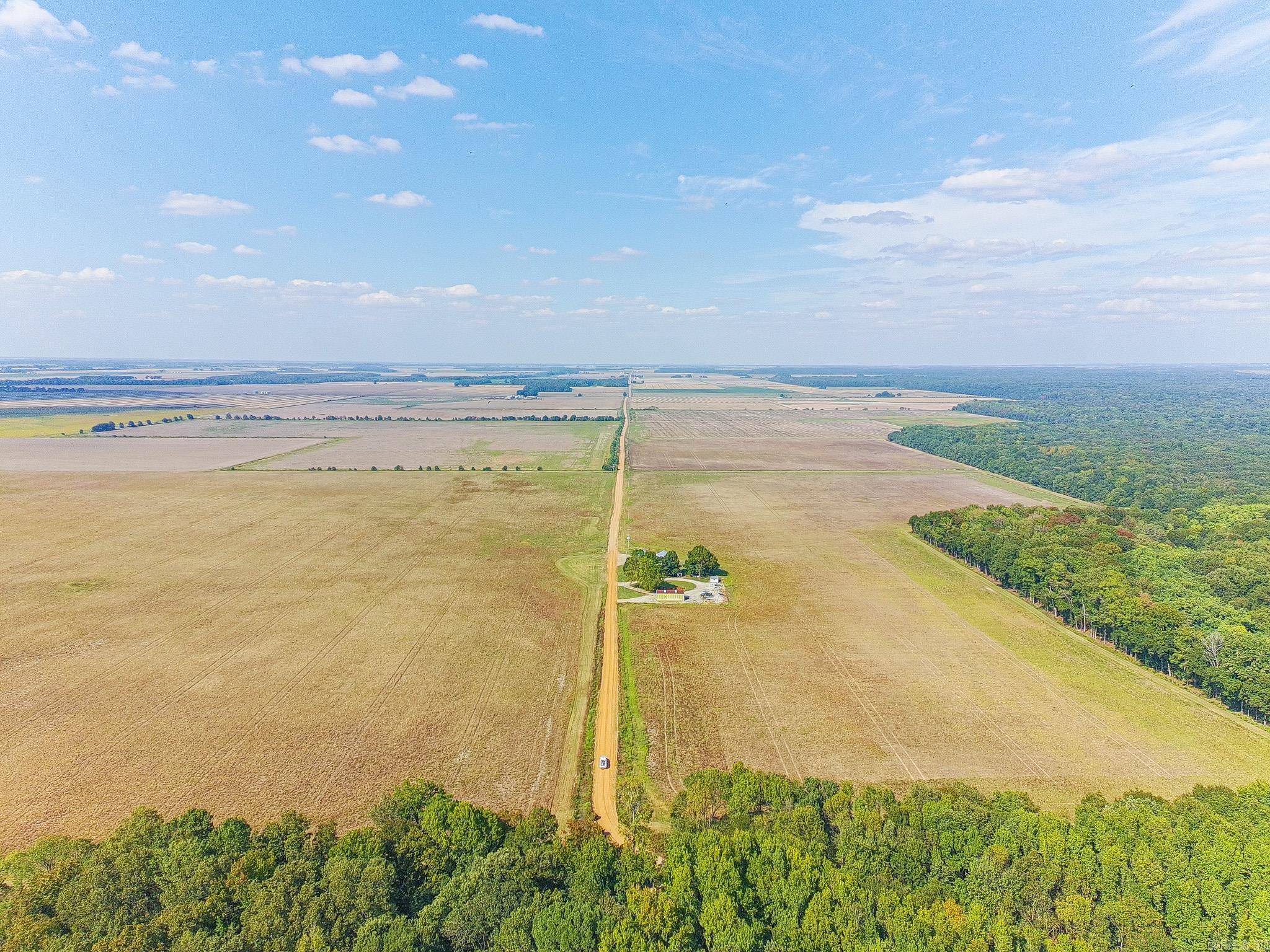 619 acres Flag Slough Lane  Weiner, AR