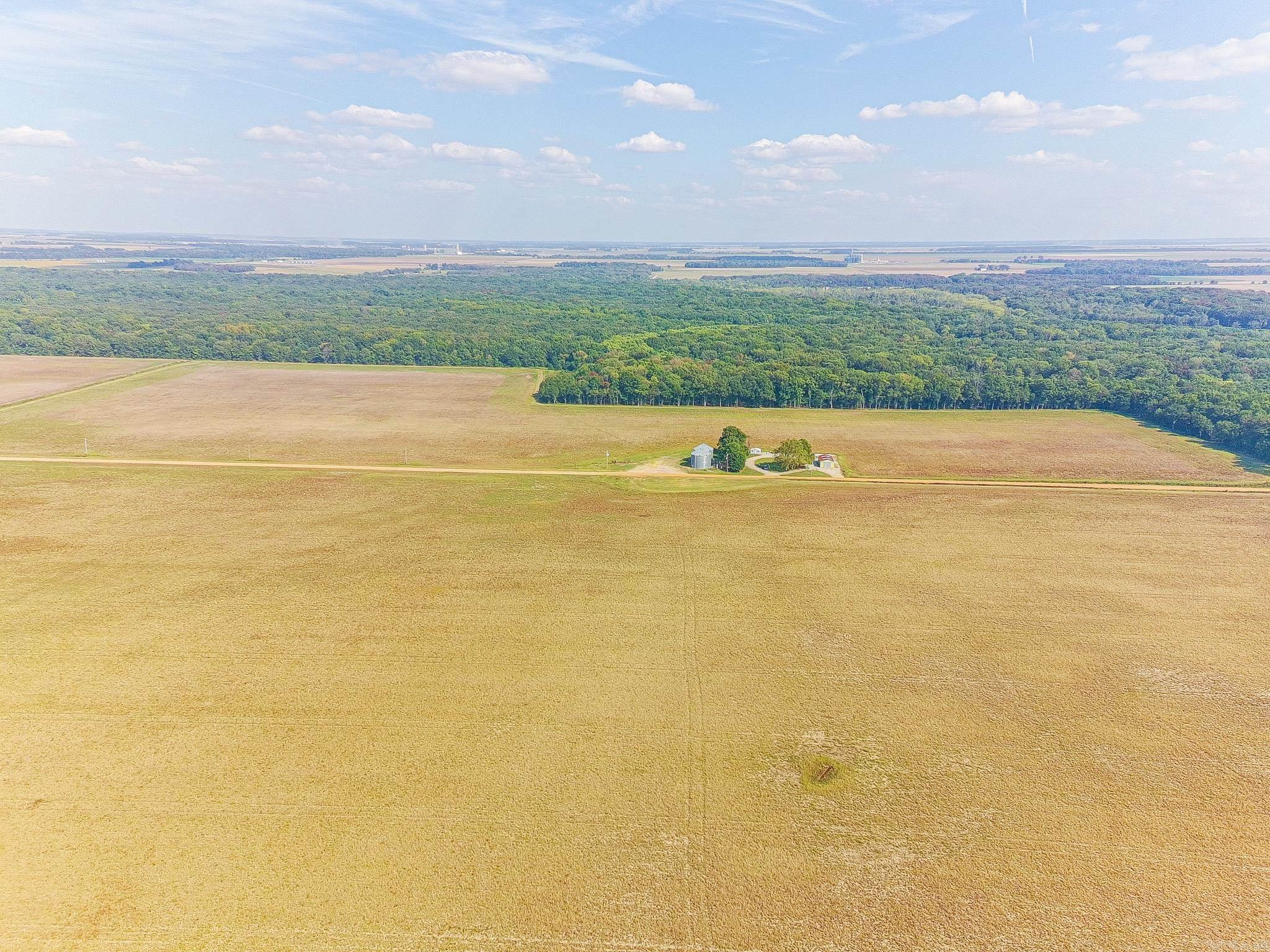 619 acres Flag Slough Lane  Weiner, AR