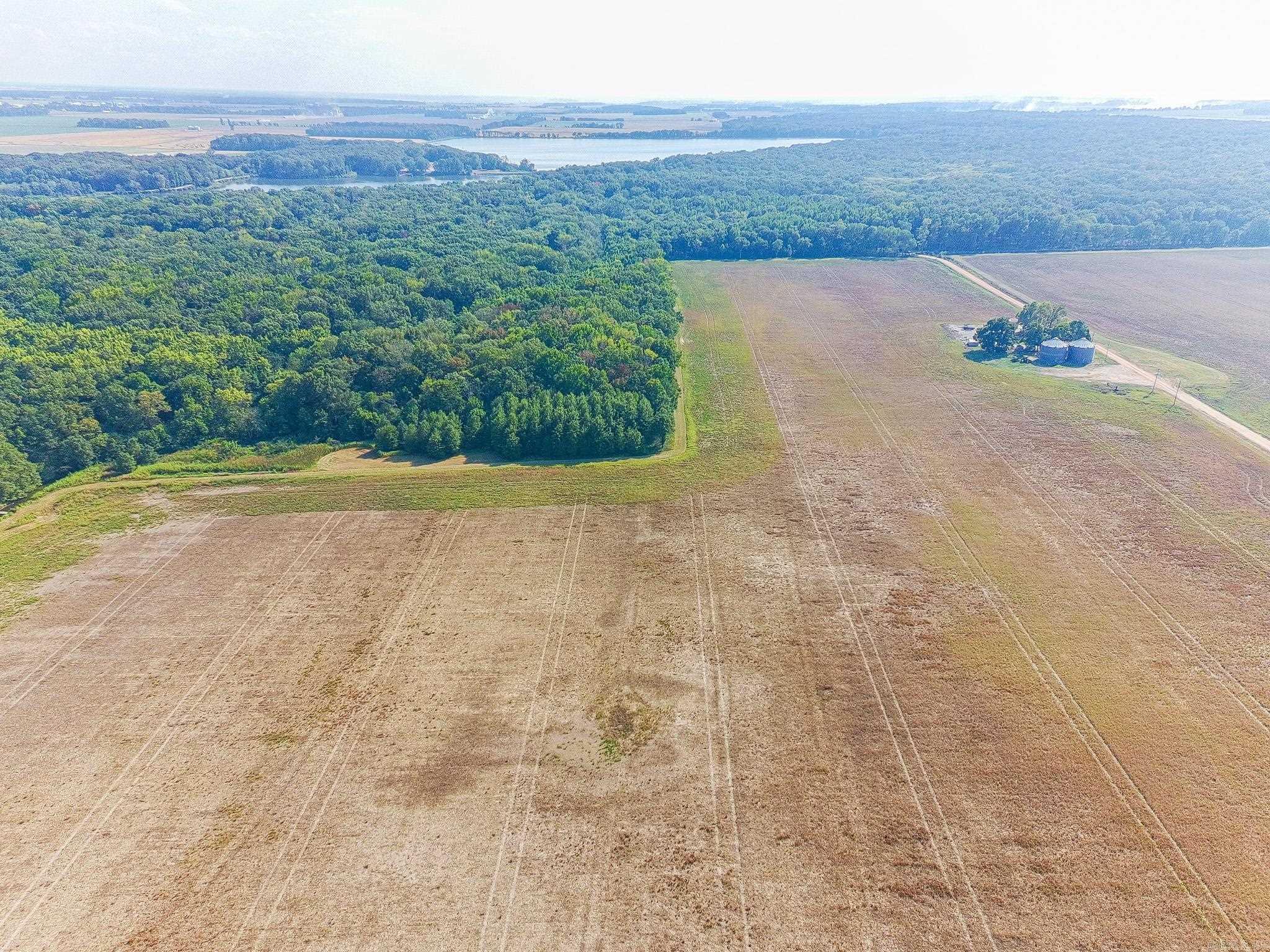 619 acres Flag Slough Lane  Weiner, AR