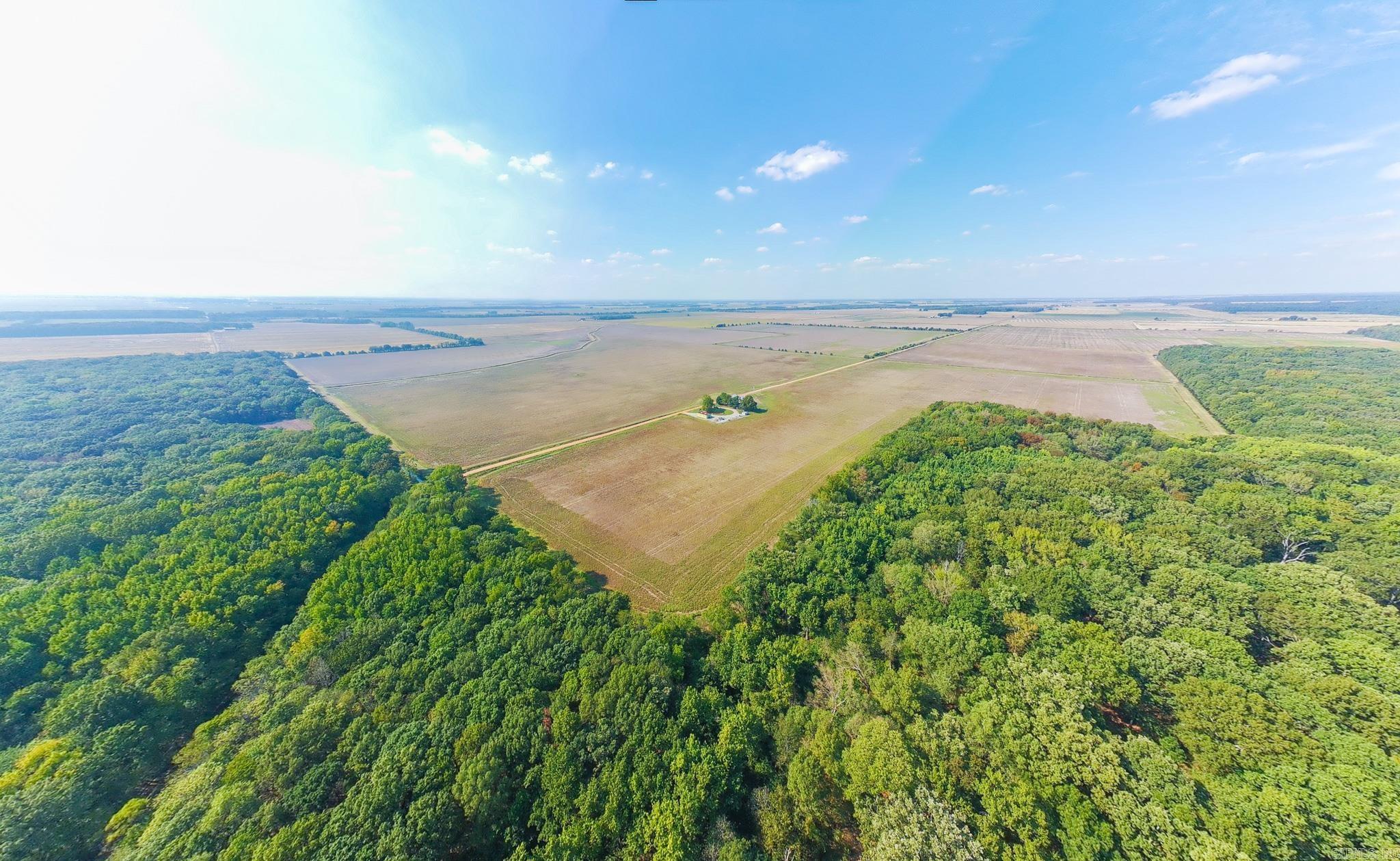 619 acres Flag Slough Lane  Weiner, AR