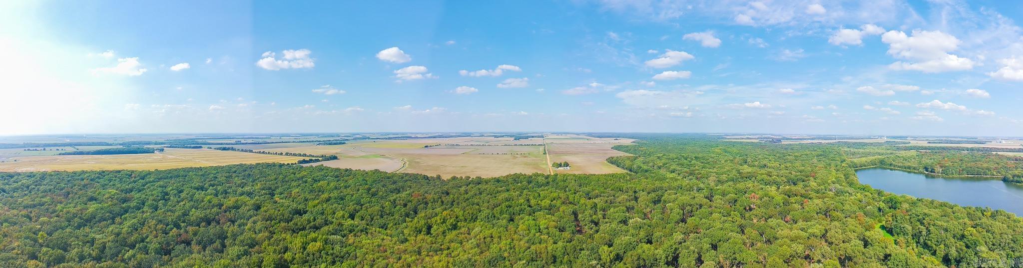 619 acres Flag Slough Lane  Weiner, AR