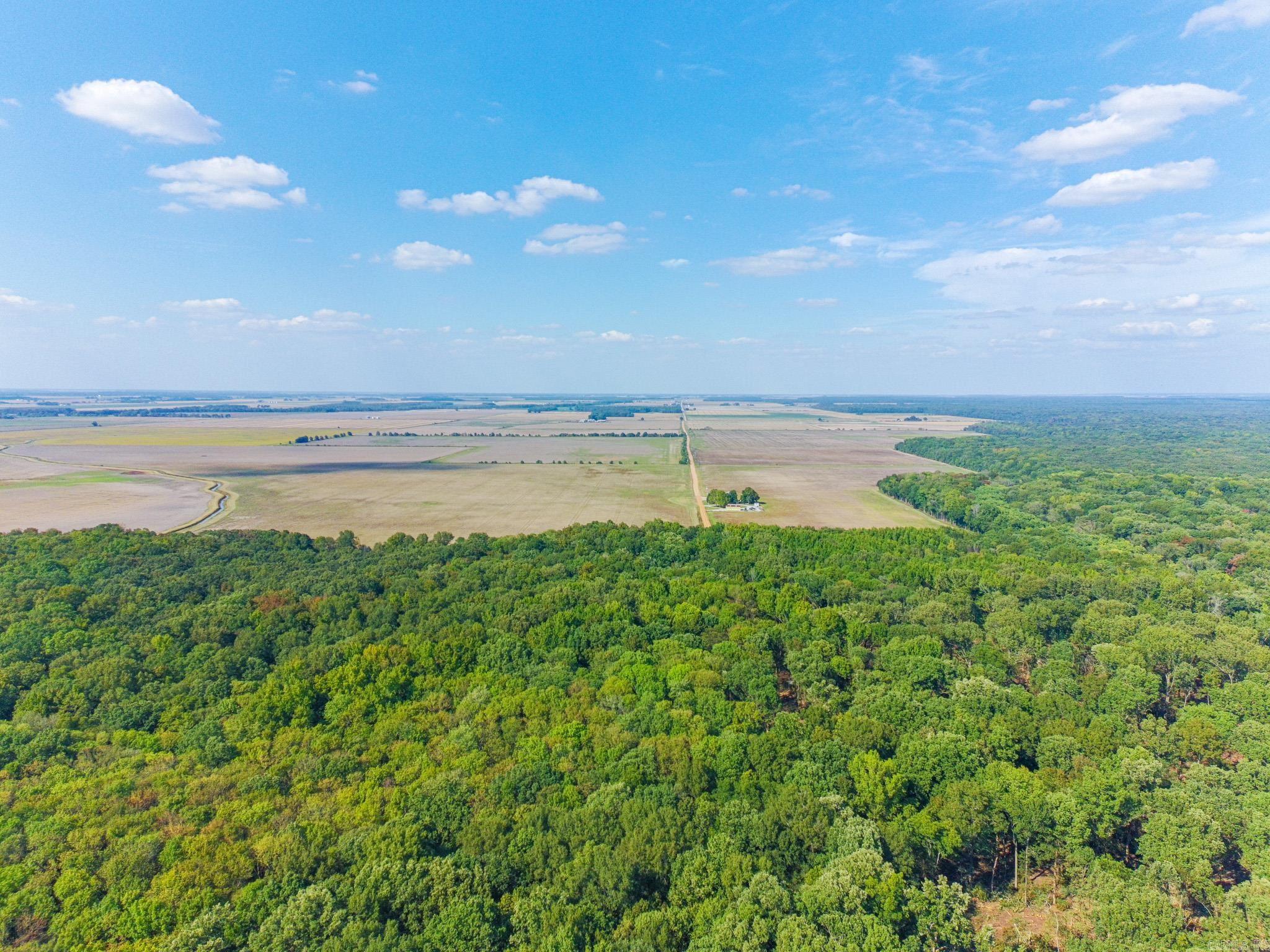 619 acres Flag Slough Lane  Weiner, AR