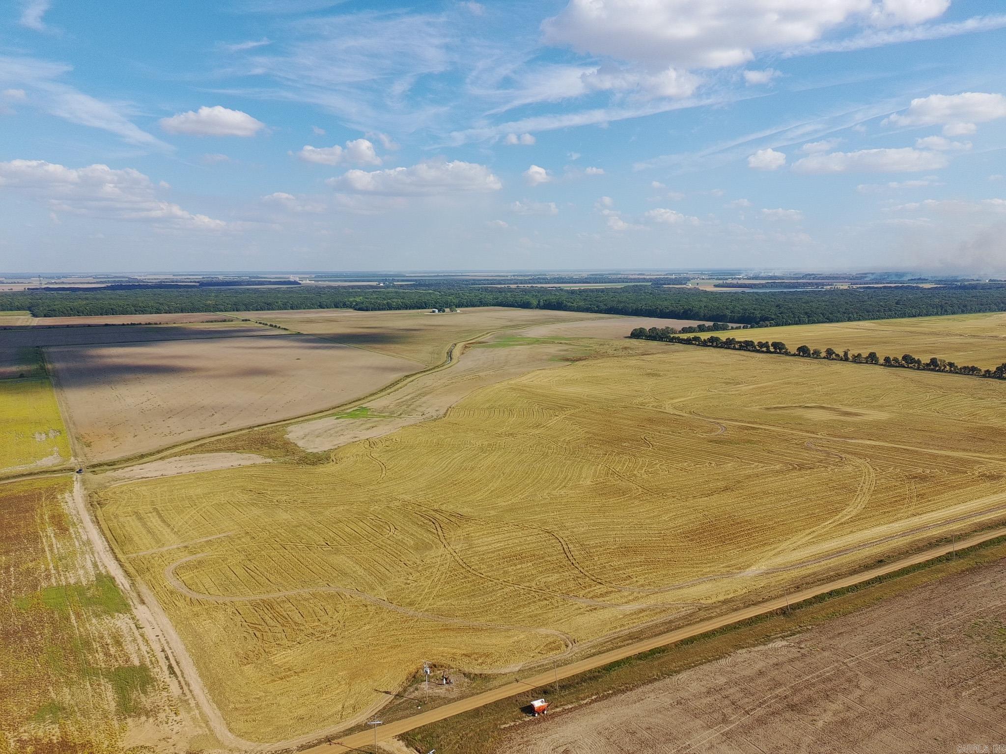 619 acres Flag Slough Lane  Weiner, AR
