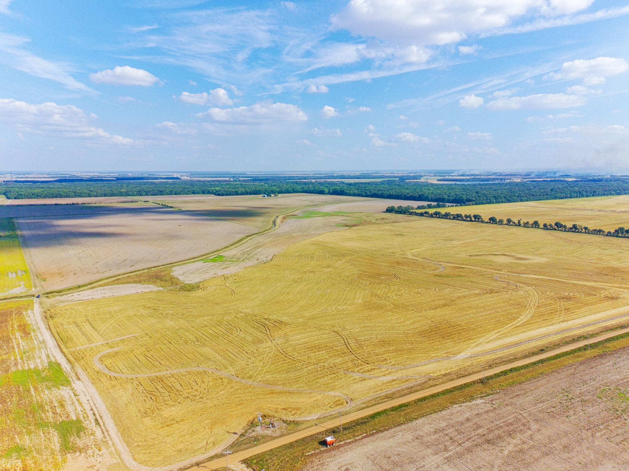 619 acres Flag Slough Lane  Weiner, AR