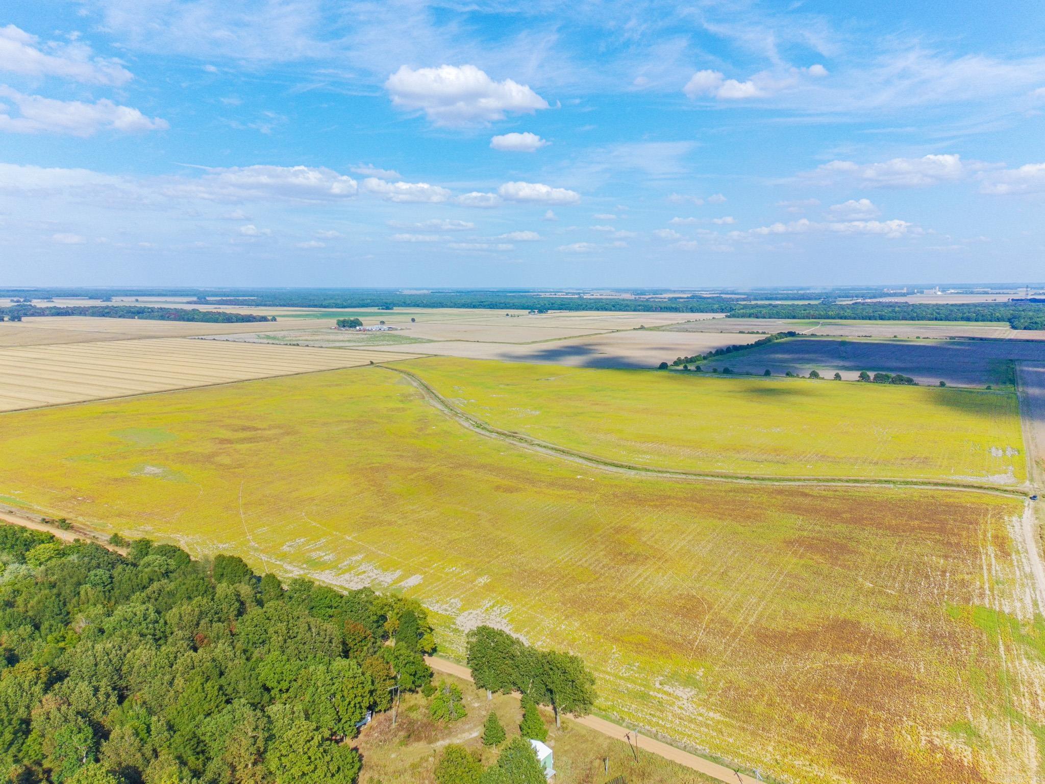 619 acres Flag Slough Lane  Weiner, AR