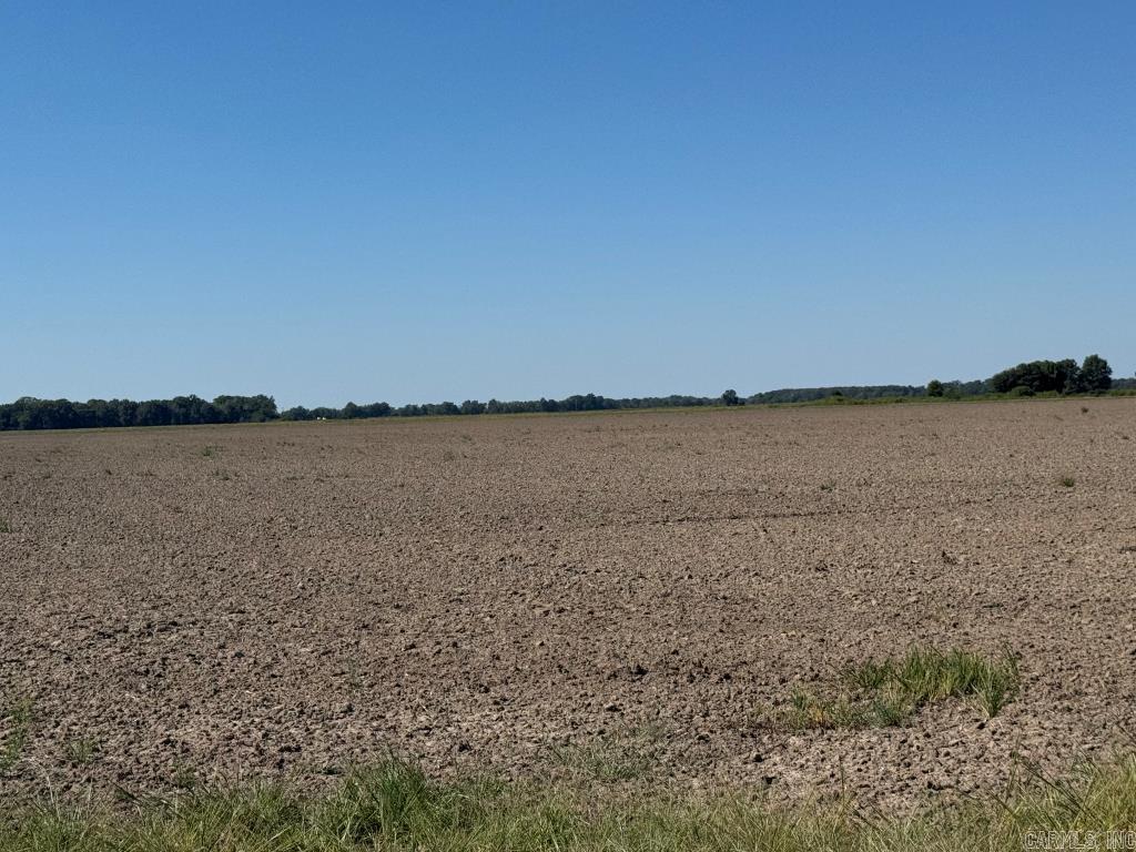 619 acres Flag Slough Lane  Weiner, AR