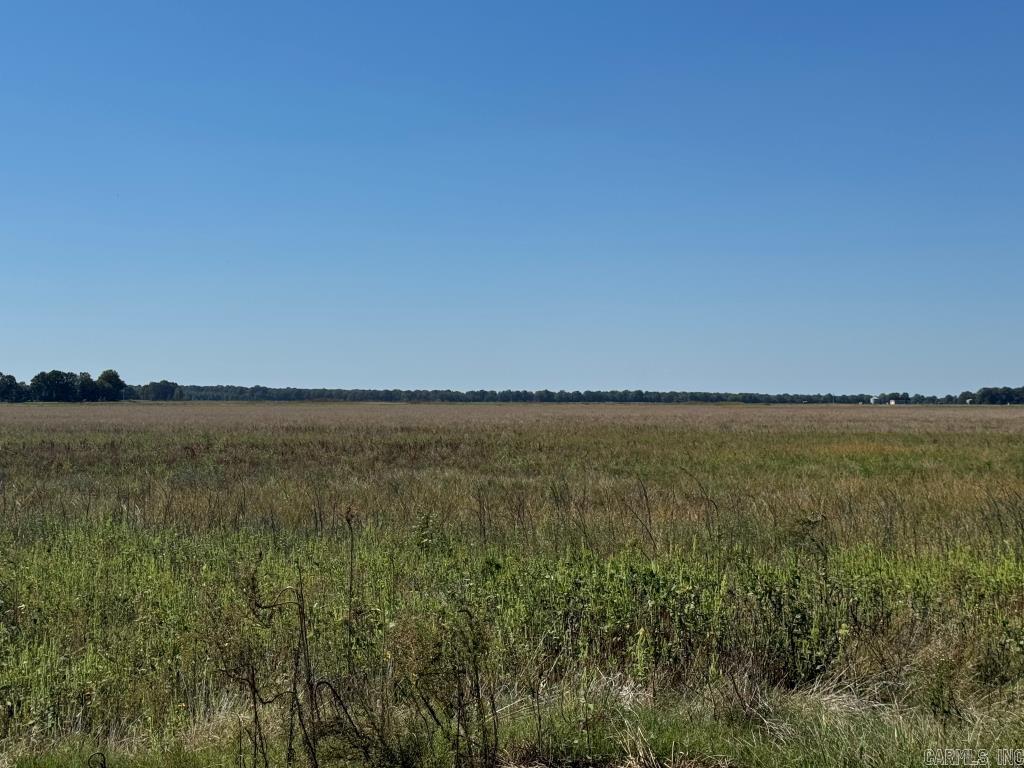 619 acres Flag Slough Lane  Weiner, AR