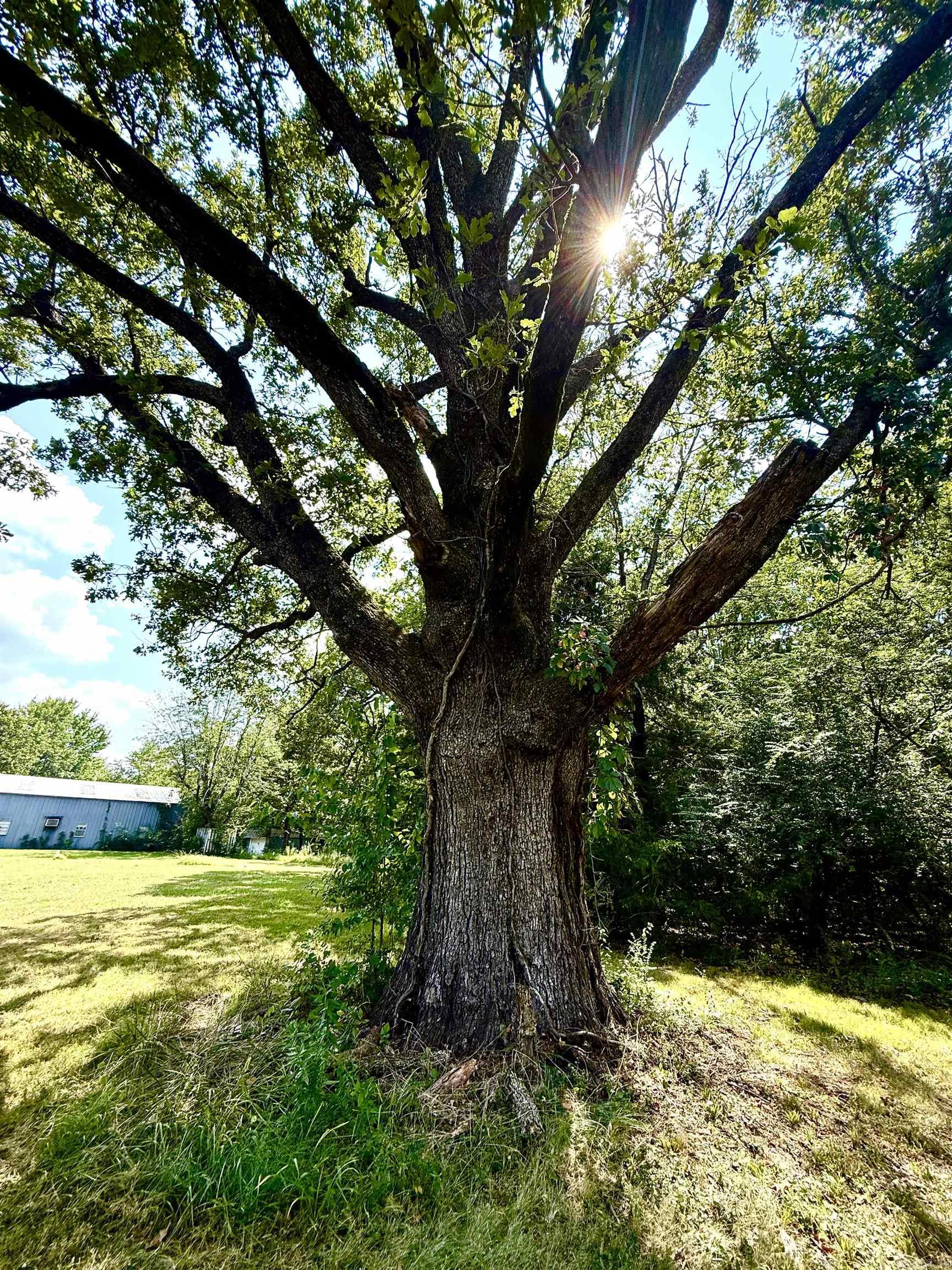 3754 Hwy 5 North  Mountain Home, AR