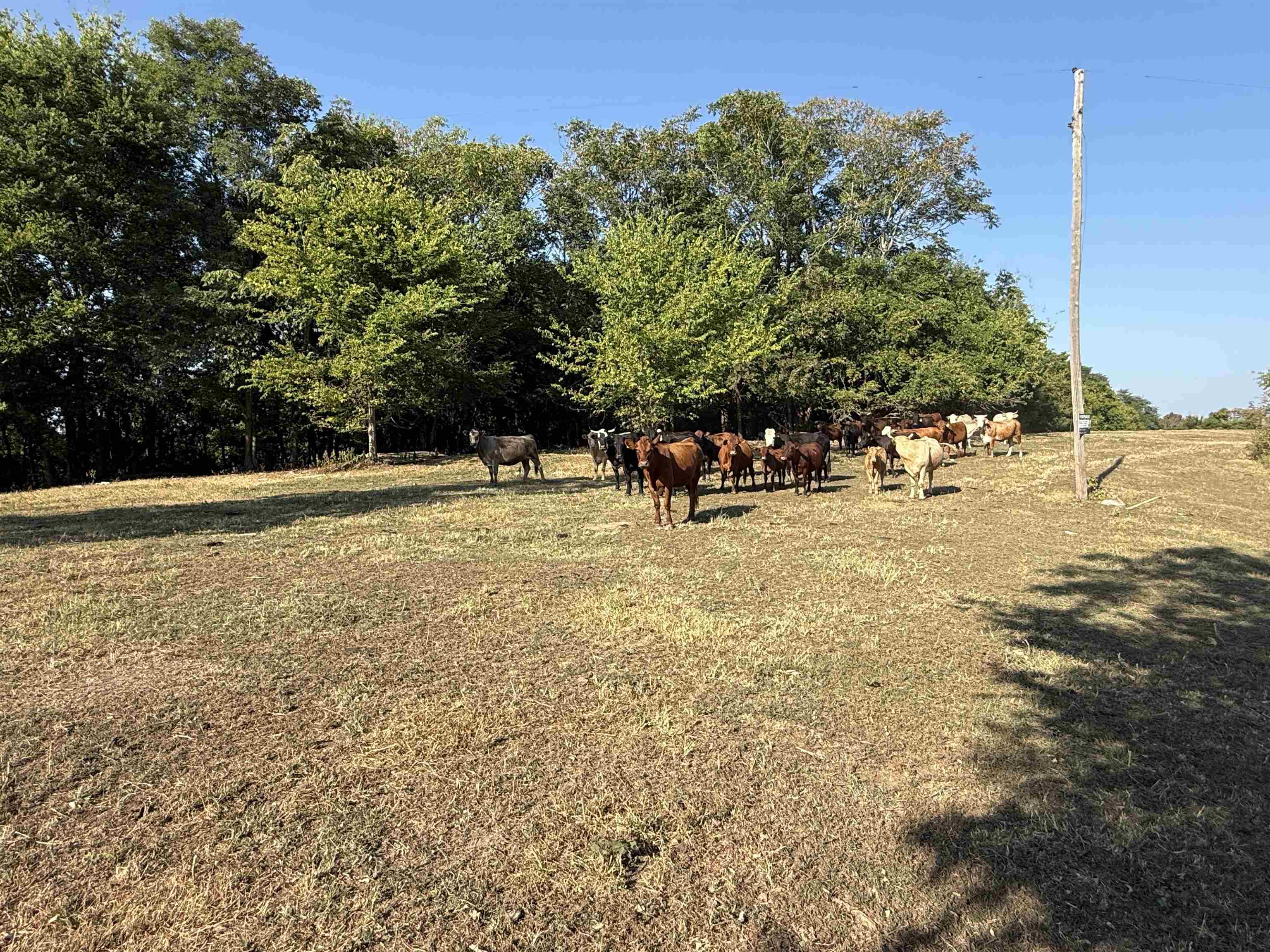 180A Lafferty Road  Mount Pleasant, AR
