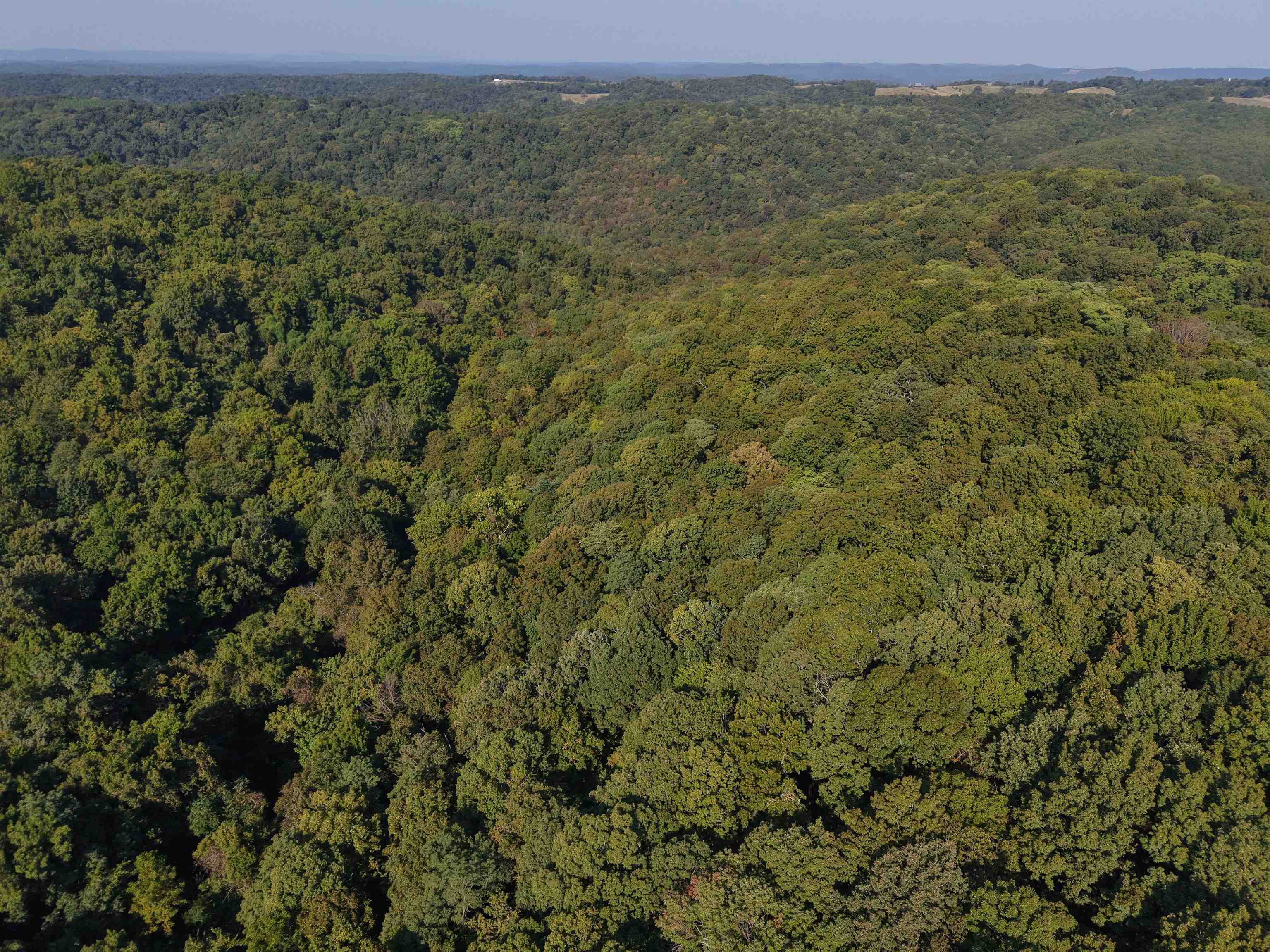 180A Lafferty Road  Mount Pleasant, AR