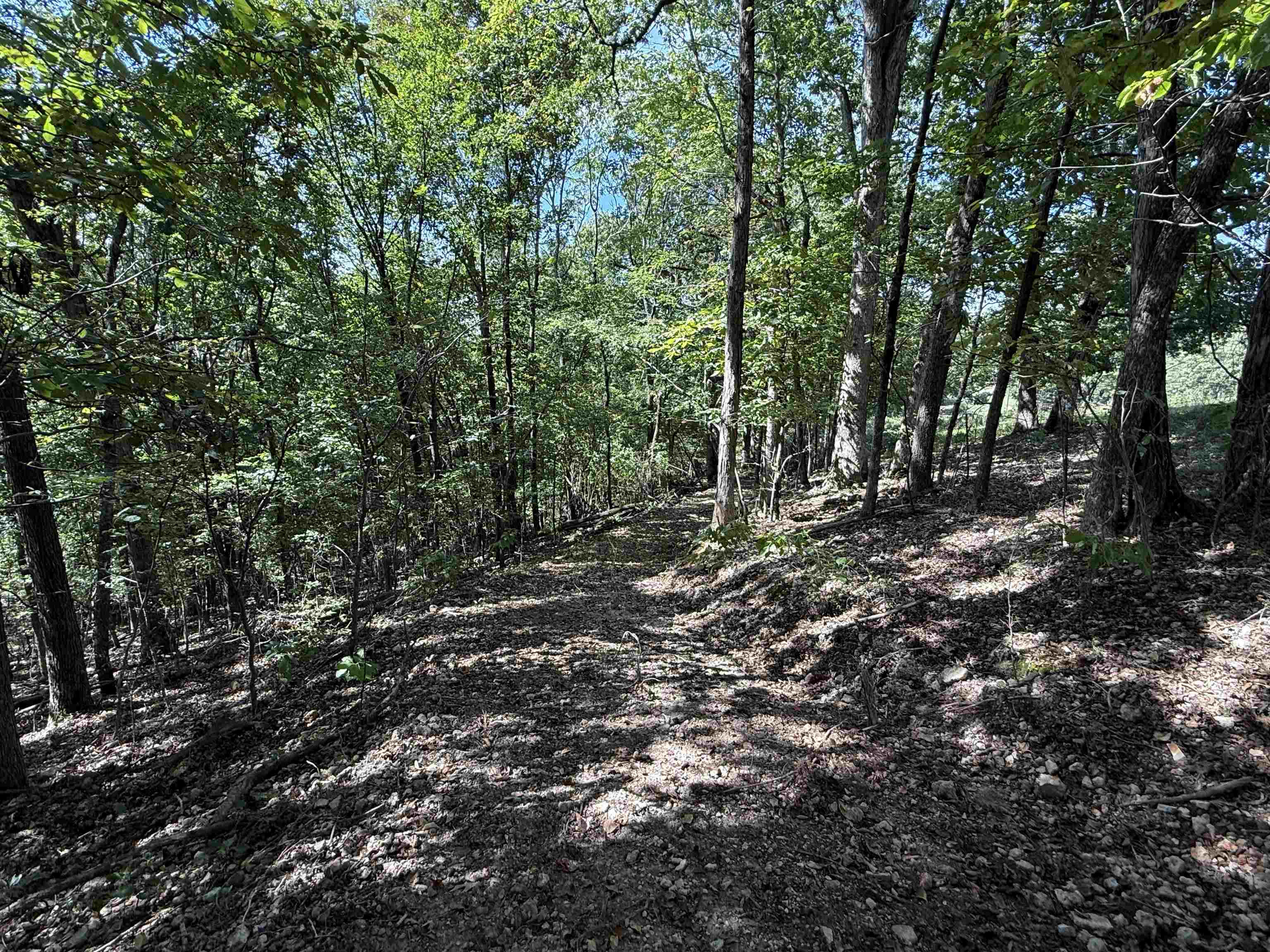 180A Lafferty Road  Mount Pleasant, AR