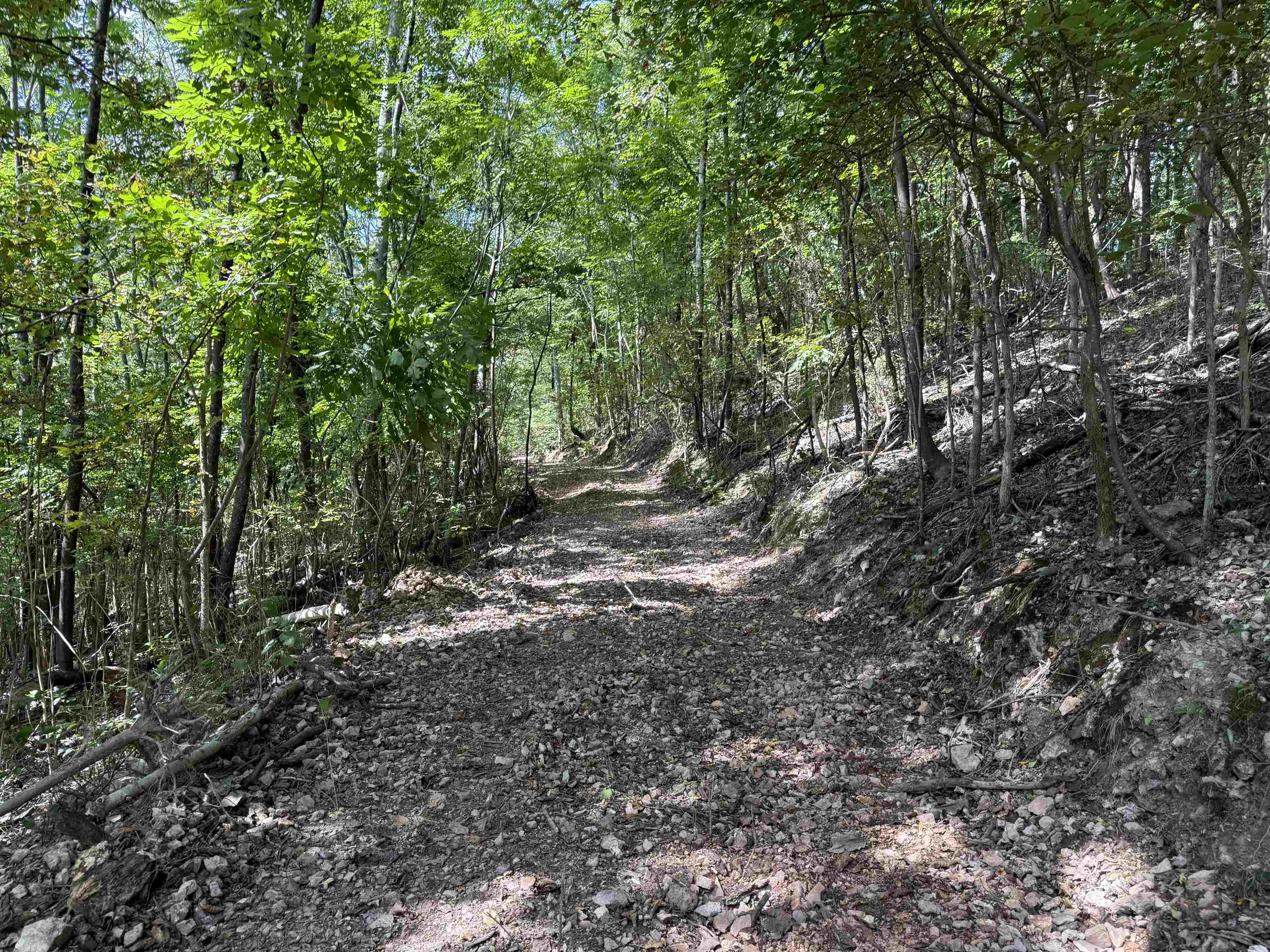 180A Lafferty Road  Mount Pleasant, AR