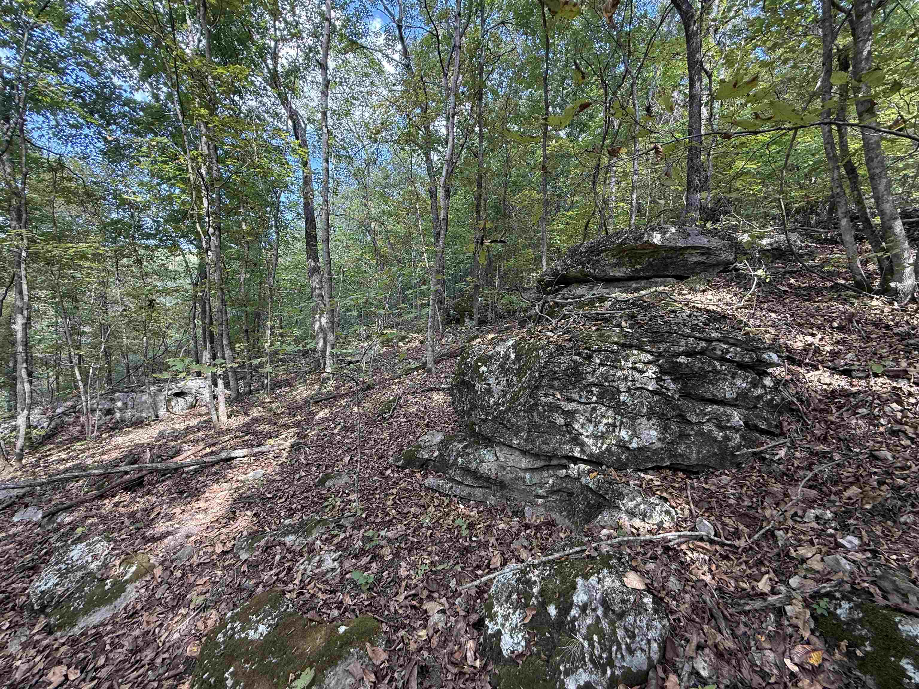 180A Lafferty Road  Mount Pleasant, AR