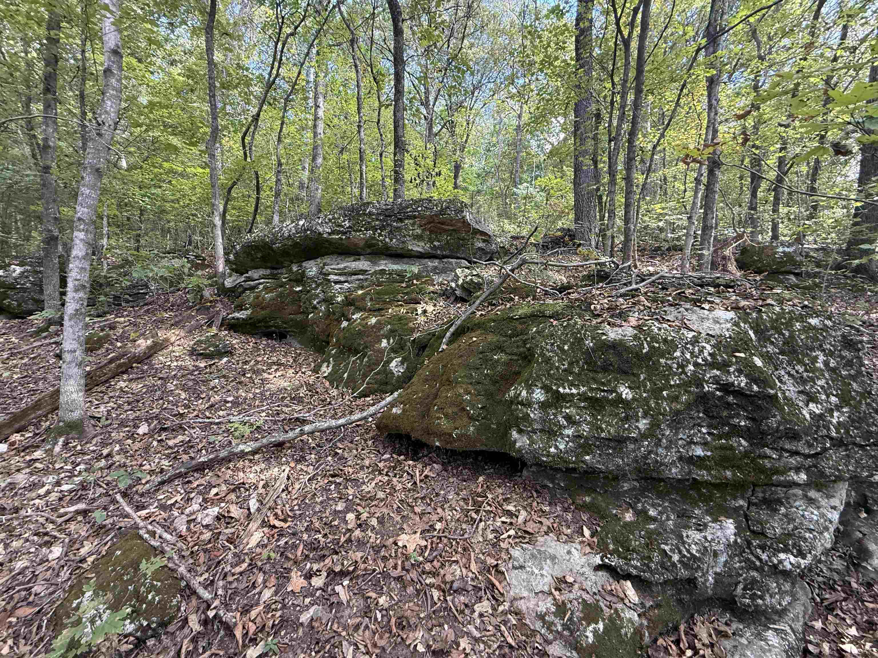 180A Lafferty Road  Mount Pleasant, AR