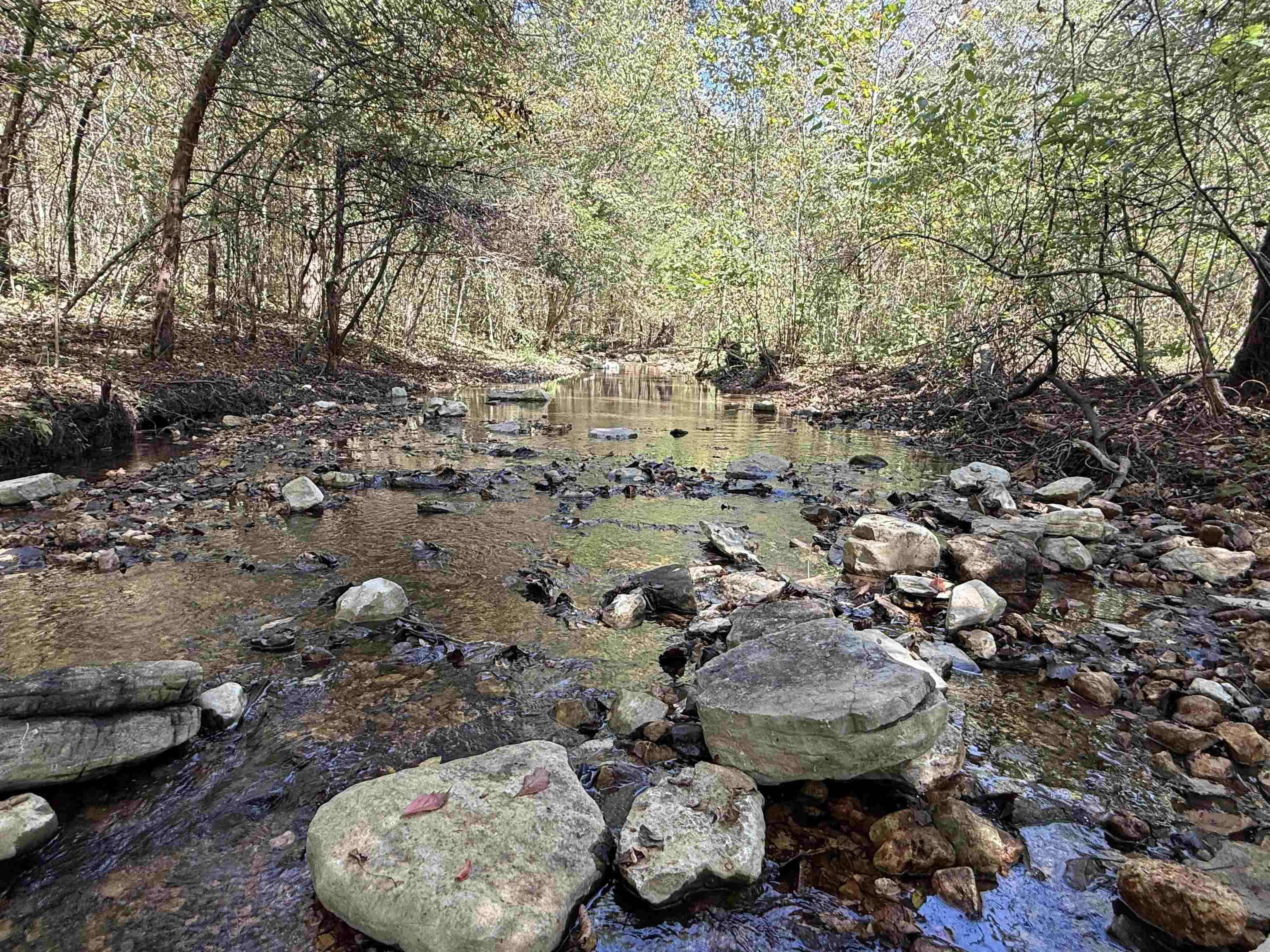 180A Lafferty Road  Mount Pleasant, AR