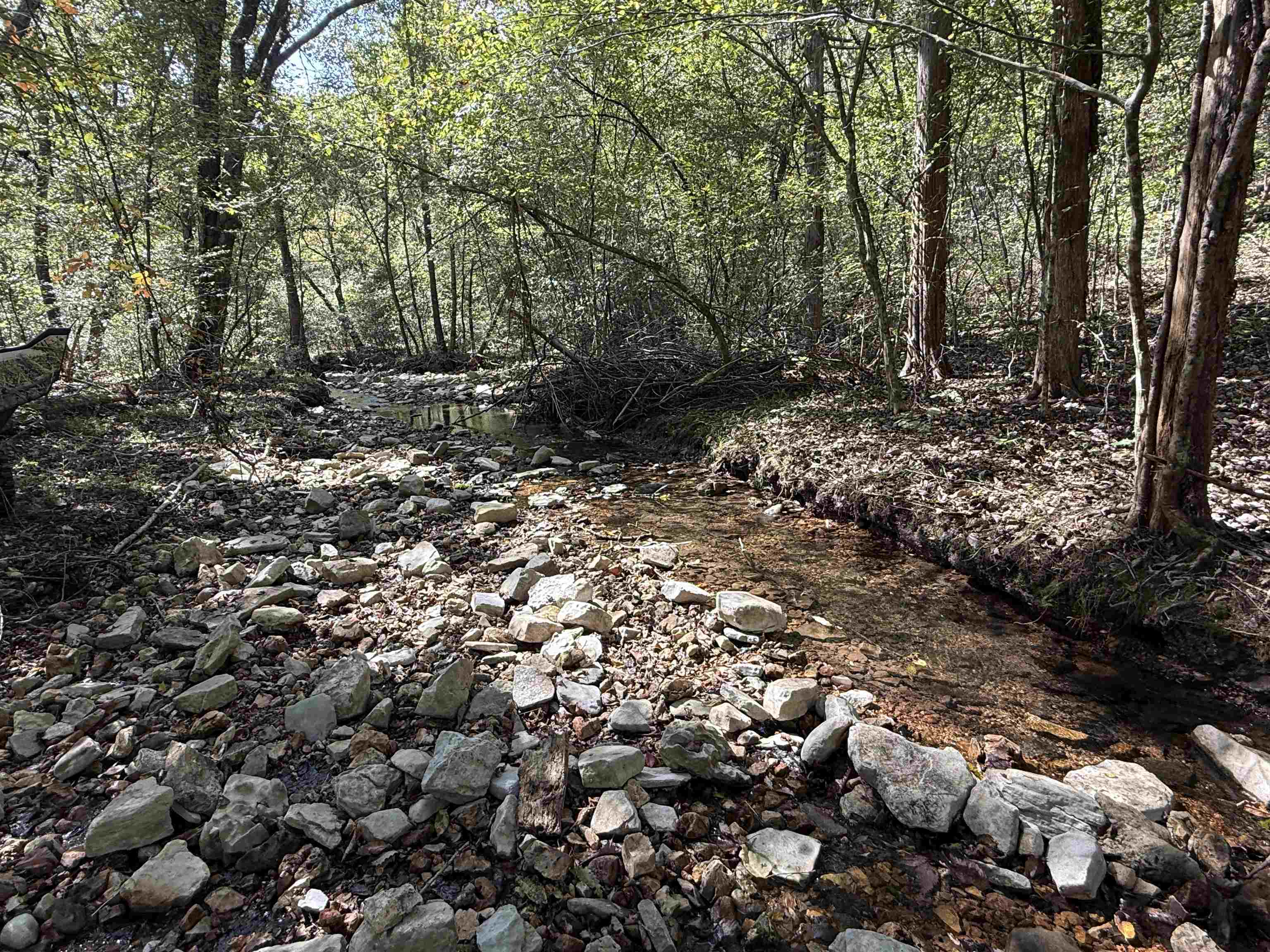 180A Lafferty Road  Mount Pleasant, AR