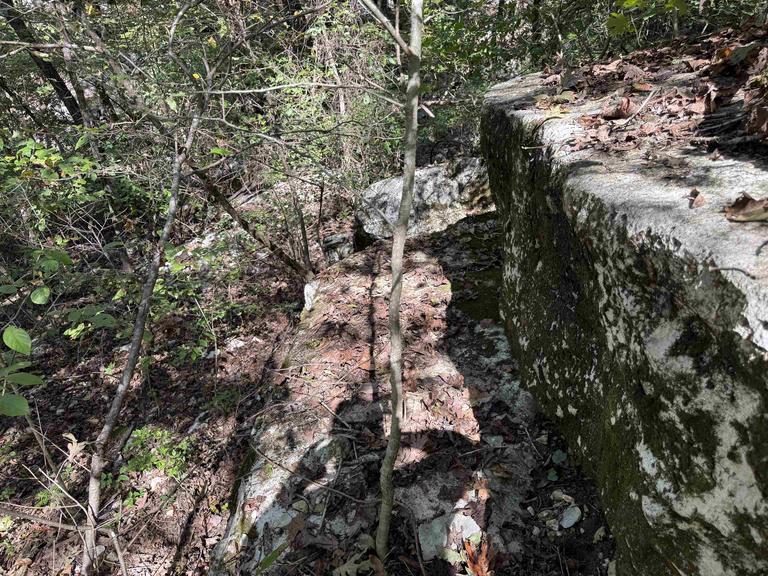 180A Lafferty Road  Mount Pleasant, AR