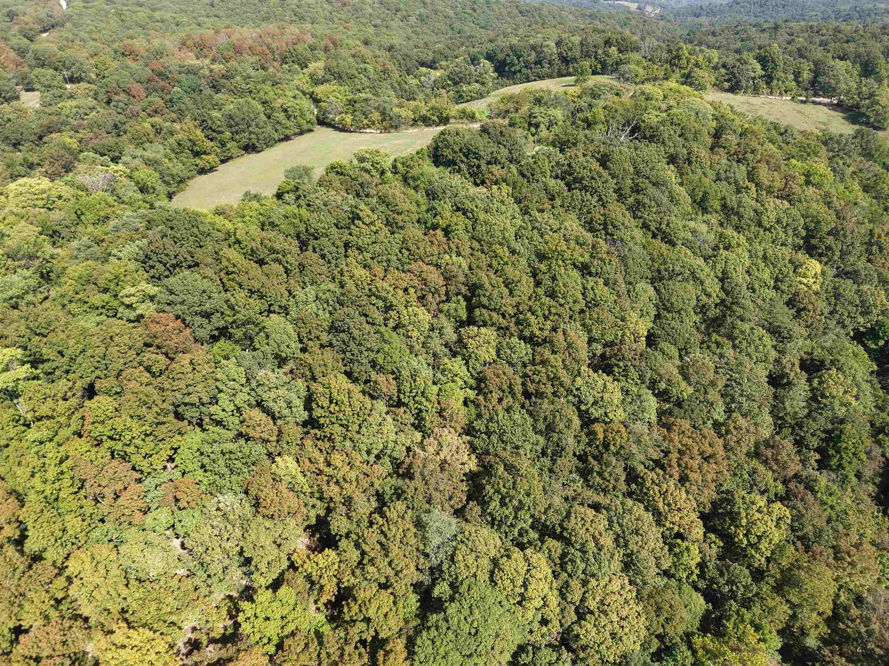 180A Lafferty Road  Mount Pleasant, AR