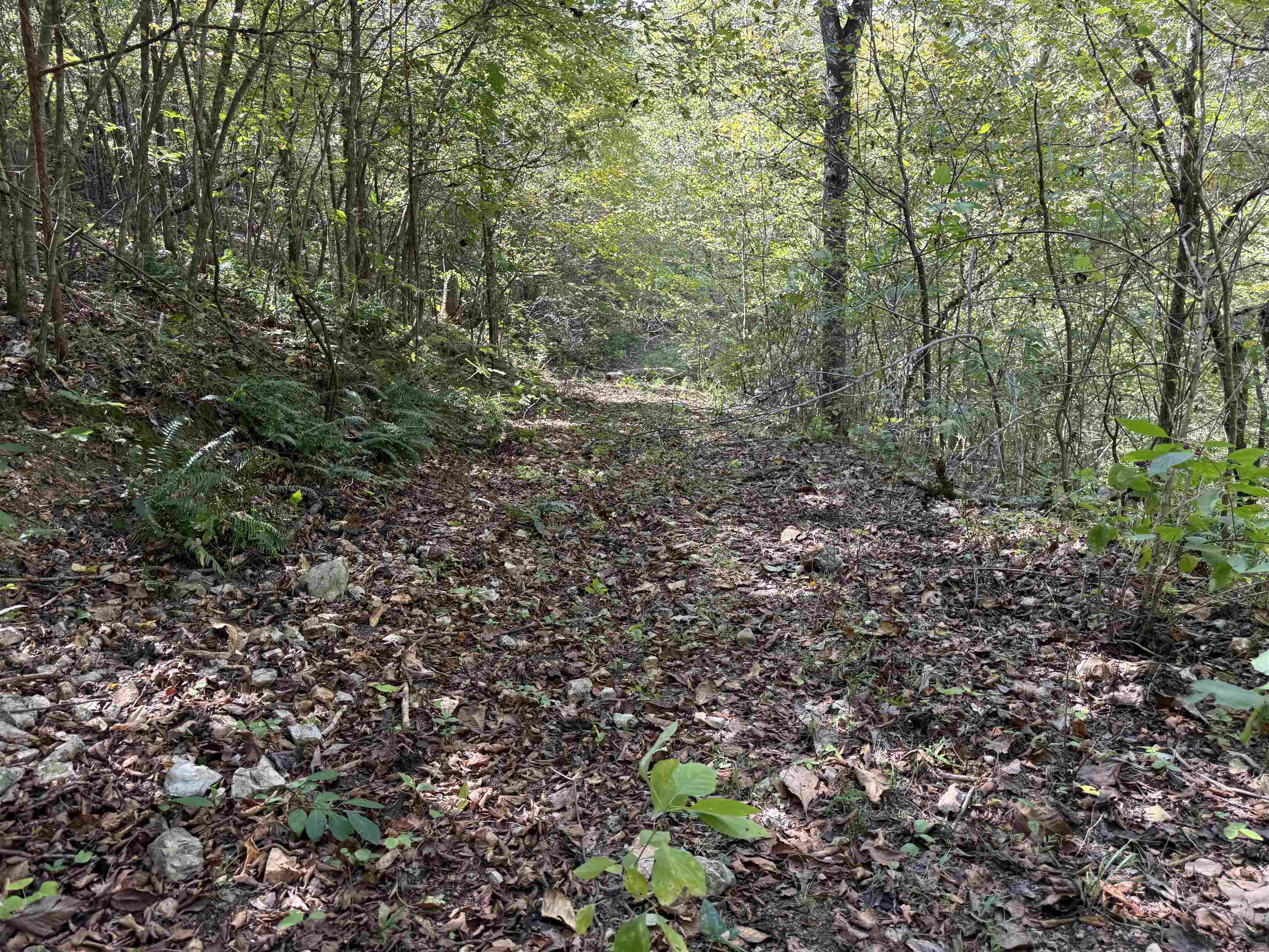 180A Lafferty Road  Mount Pleasant, AR