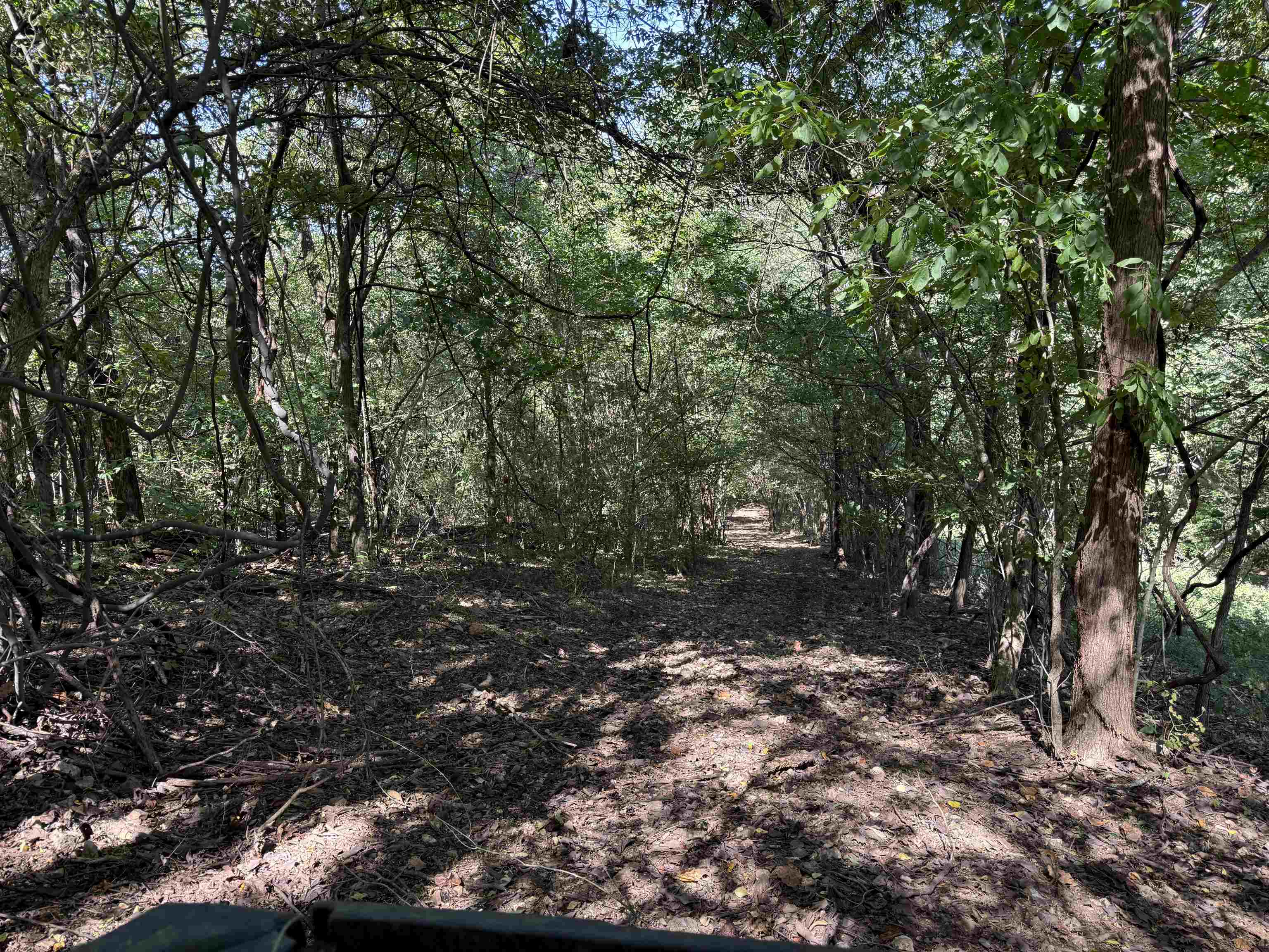 180A Lafferty Road  Mount Pleasant, AR