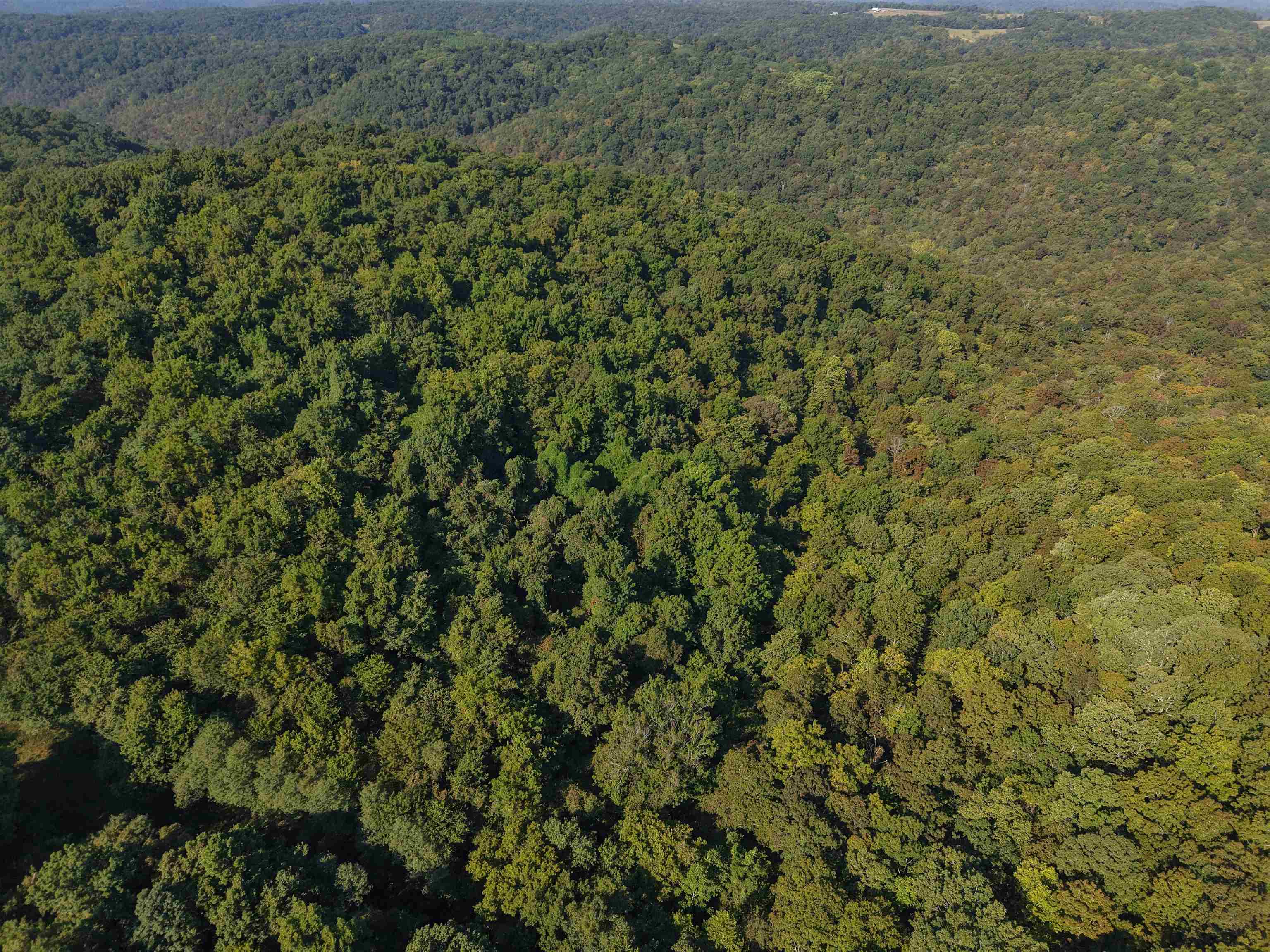 180A Lafferty Road  Mount Pleasant, AR