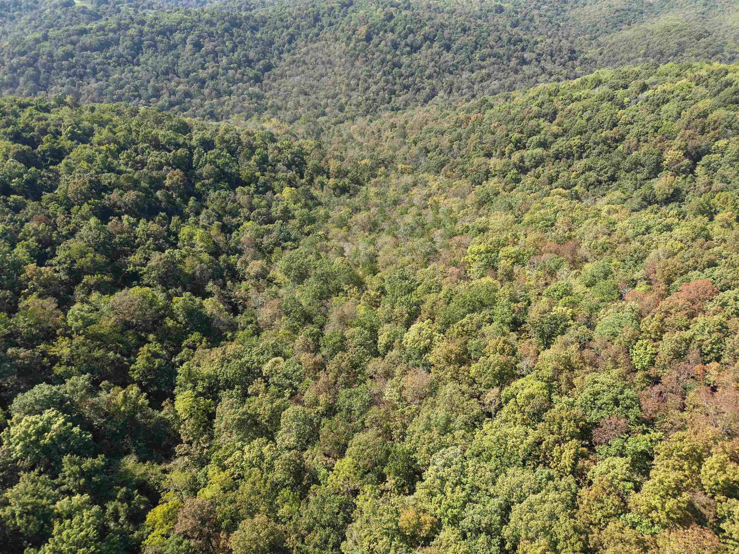 180A Lafferty Road  Mount Pleasant, AR