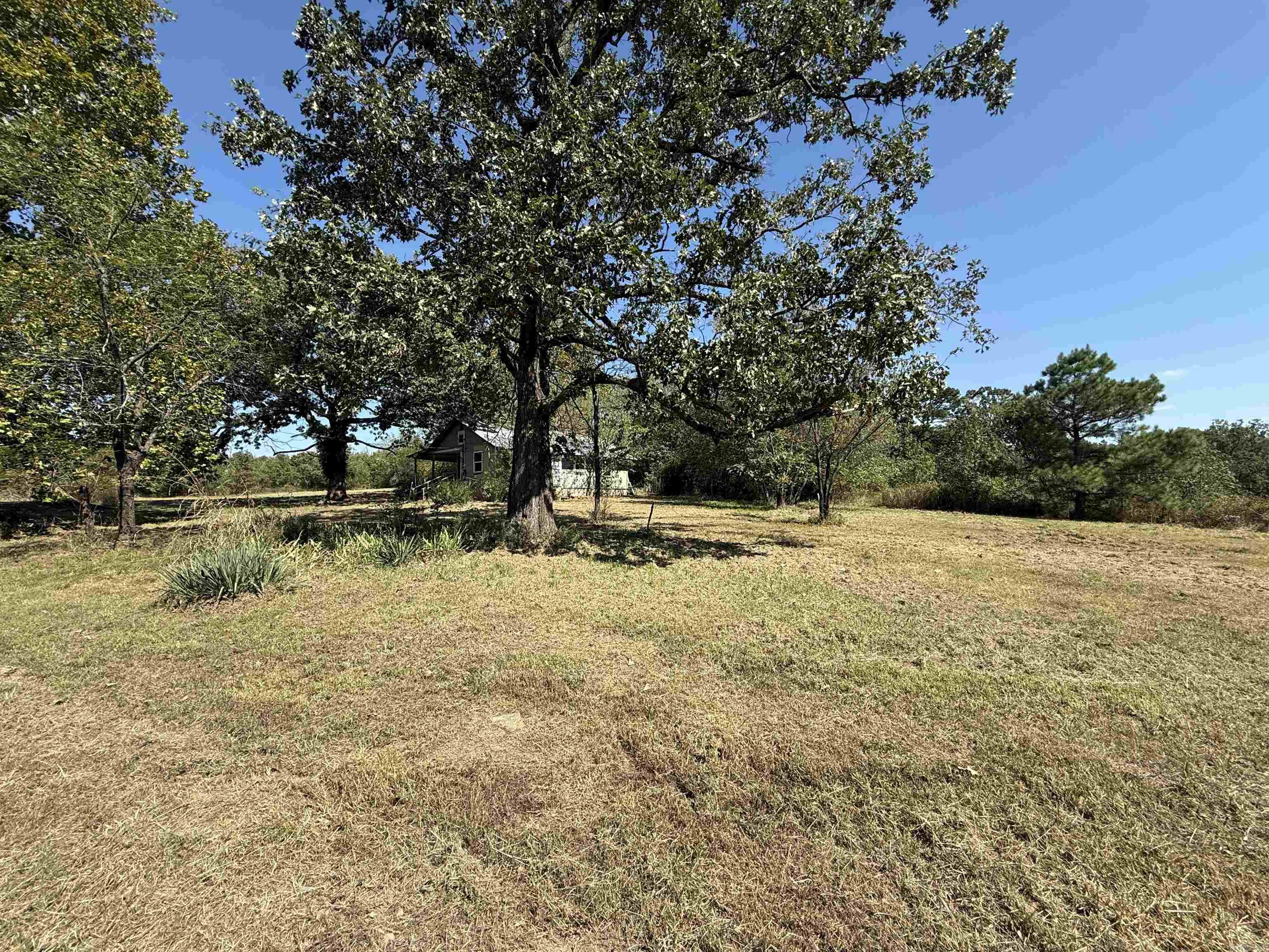 1380 Five Mile  Drasco, AR