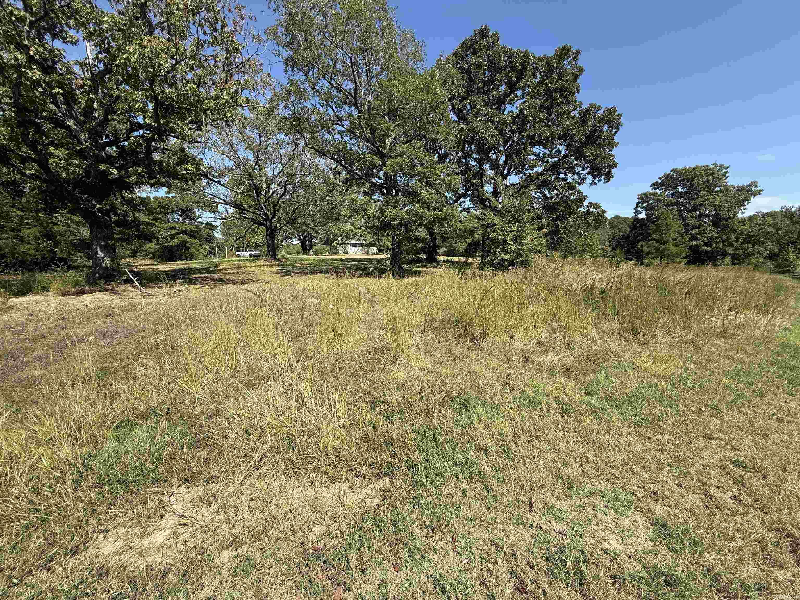 1380 Five Mile  Drasco, AR