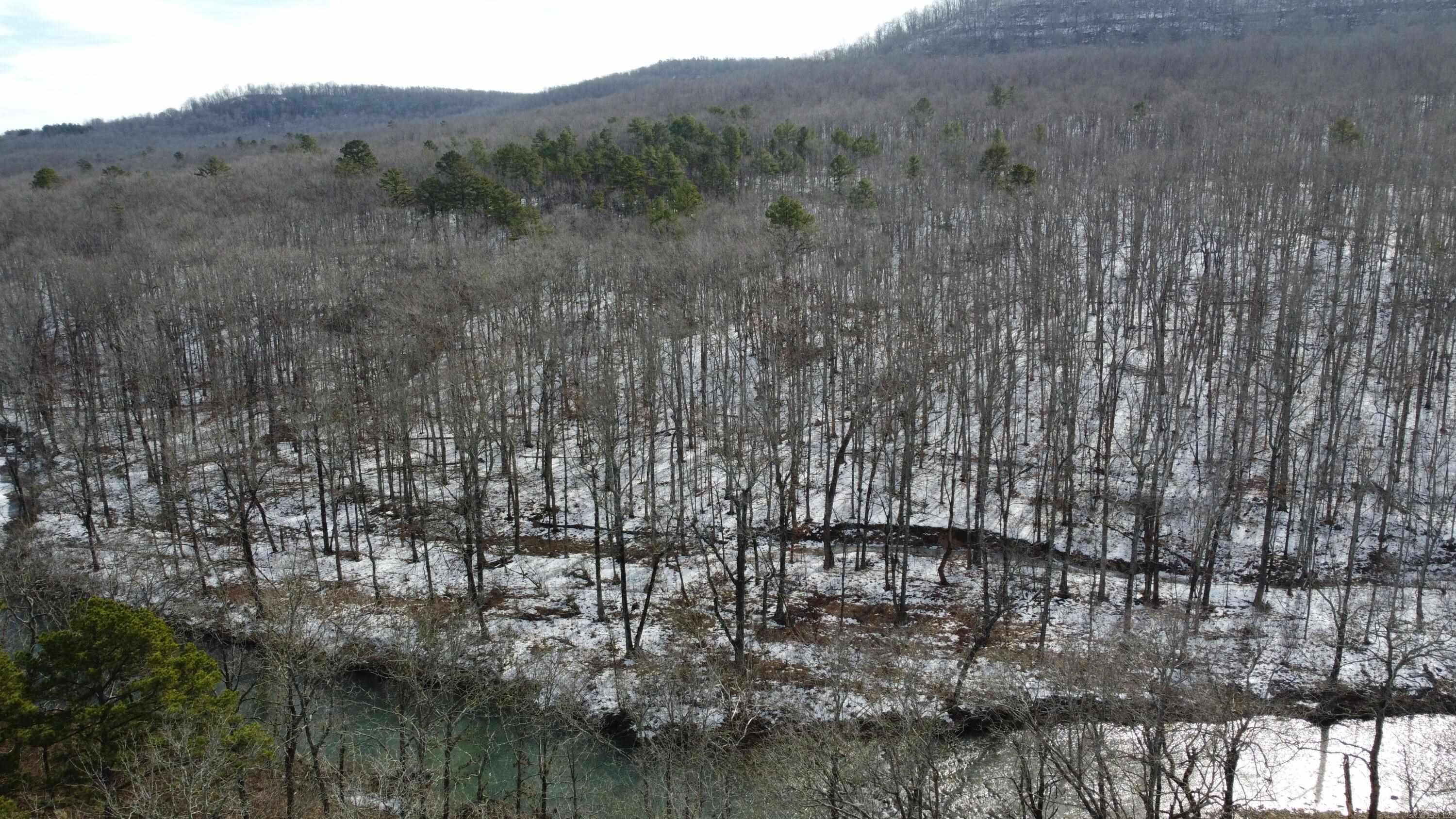 5354 Endline Road  Marshall, AR