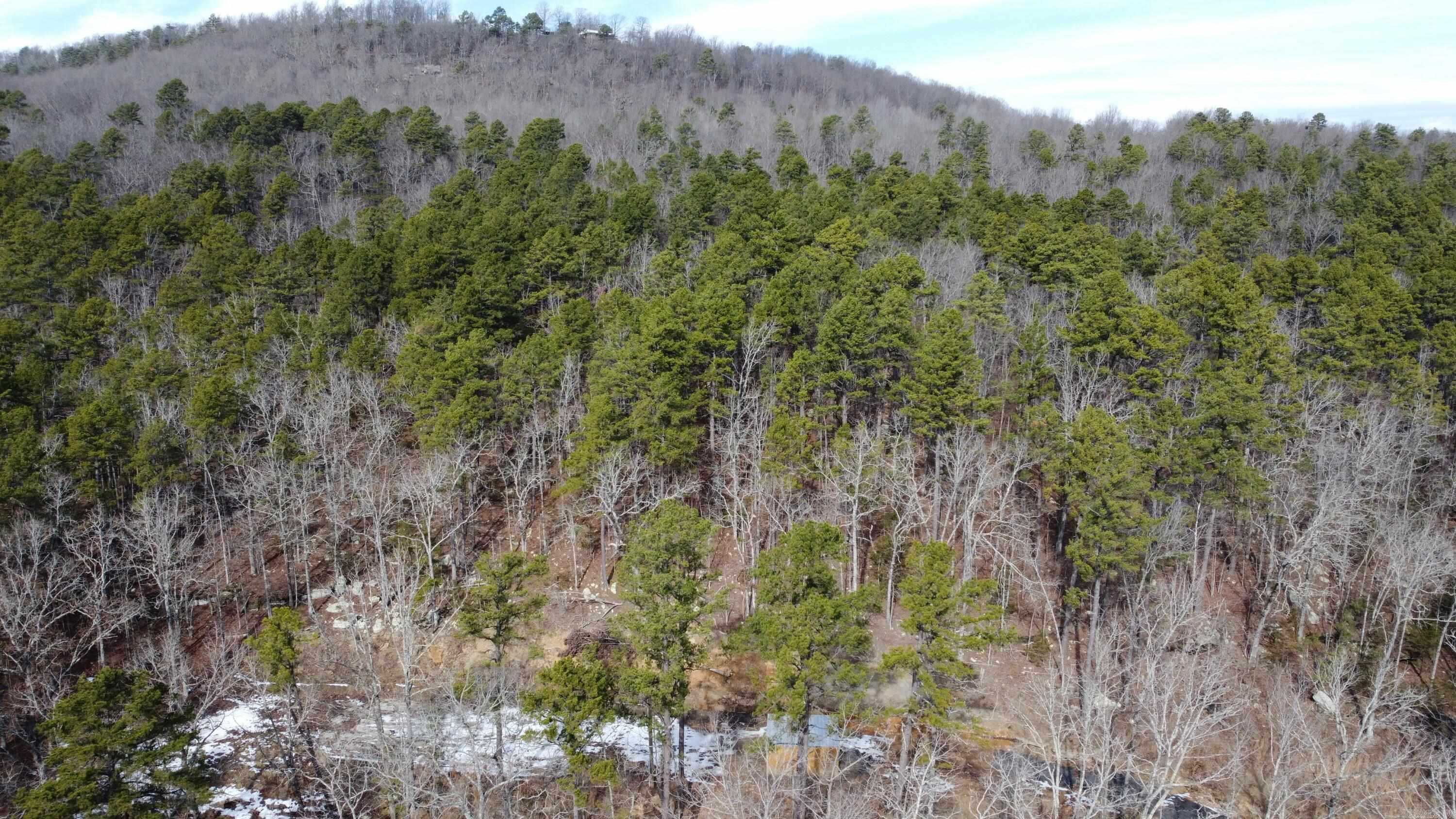 5354 Endline Road  Marshall, AR