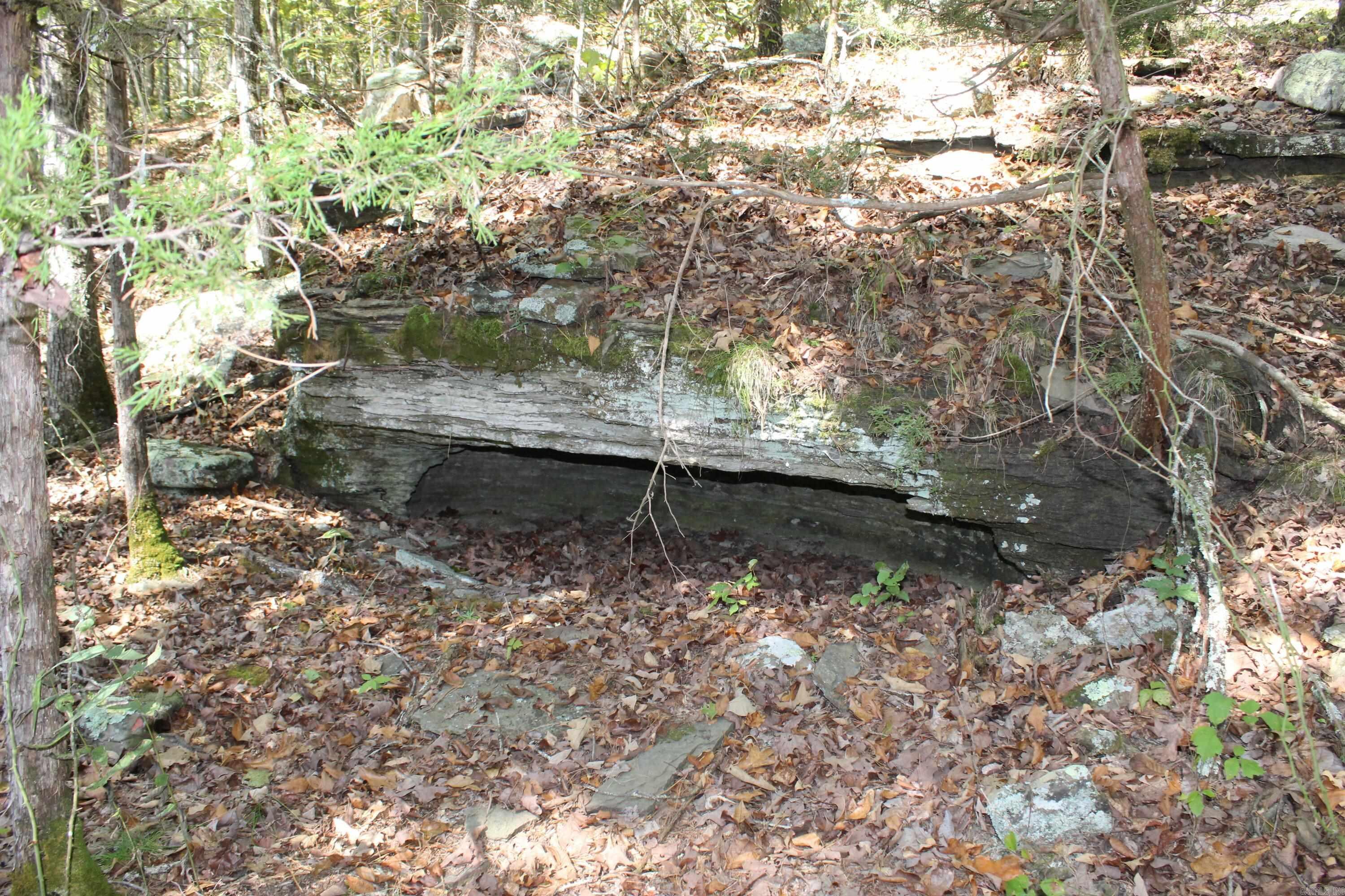 5354 Endline Road  Marshall, AR